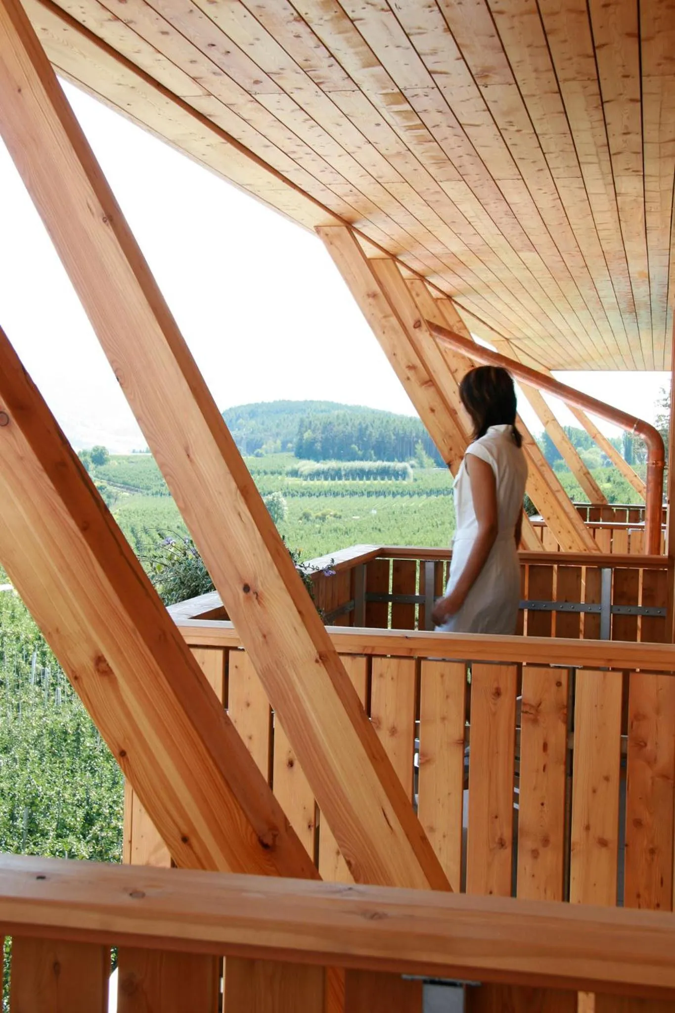 Balcony/Terrace in Hotel Ploseblick