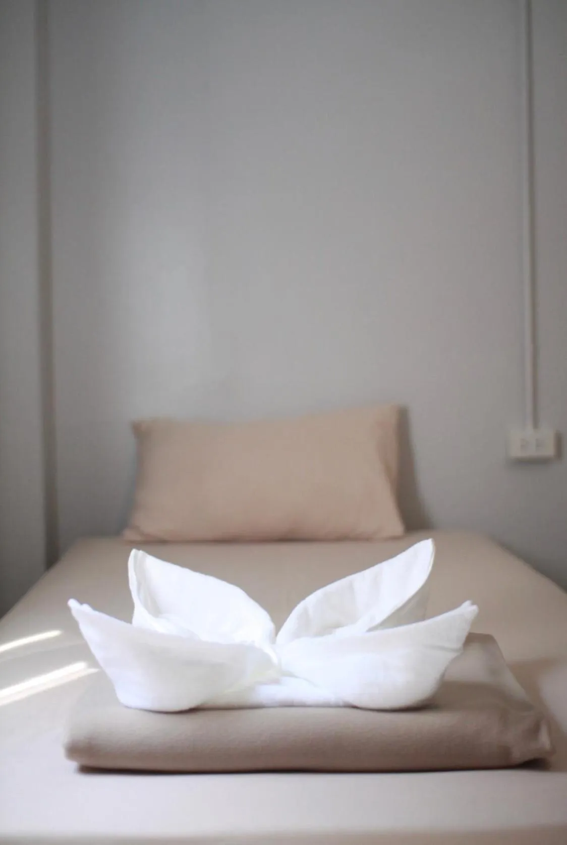 Bed in Ler Hostel 65