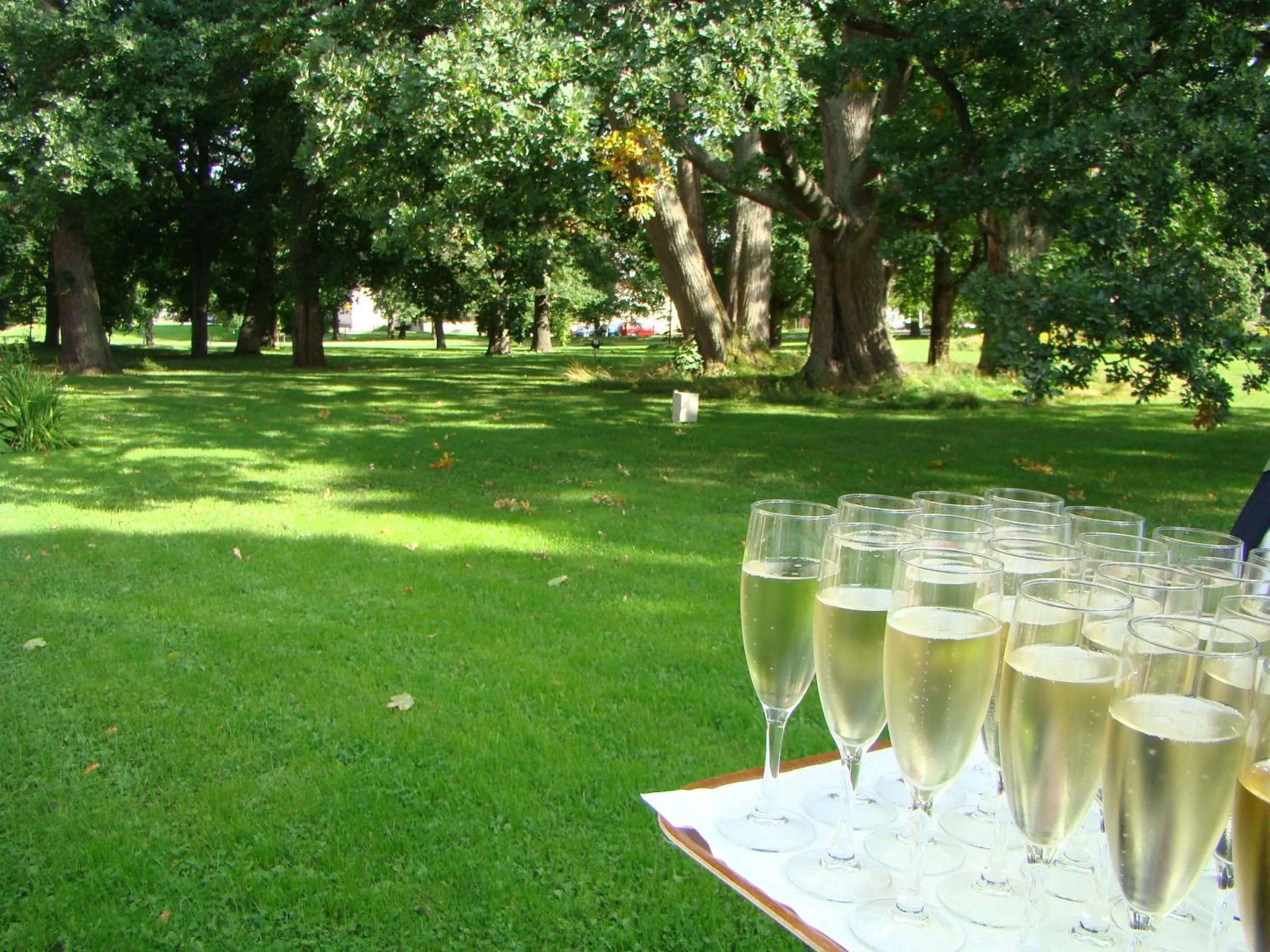 Food and drinks in Hämeenkylän Kartano