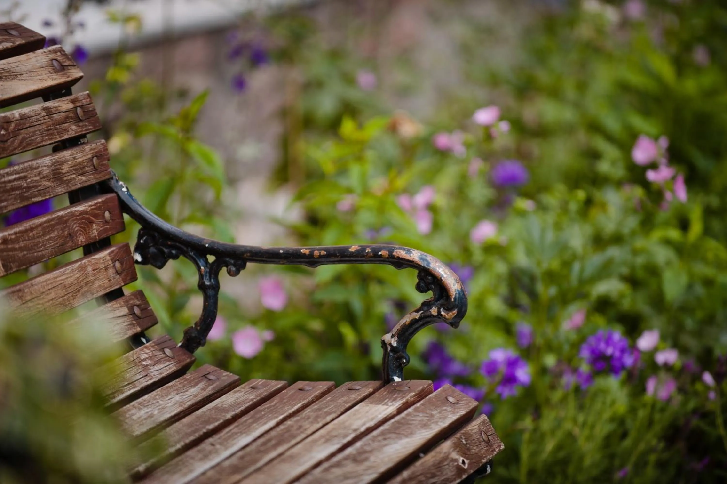 Area and facilities in Hämeenkylän Kartano