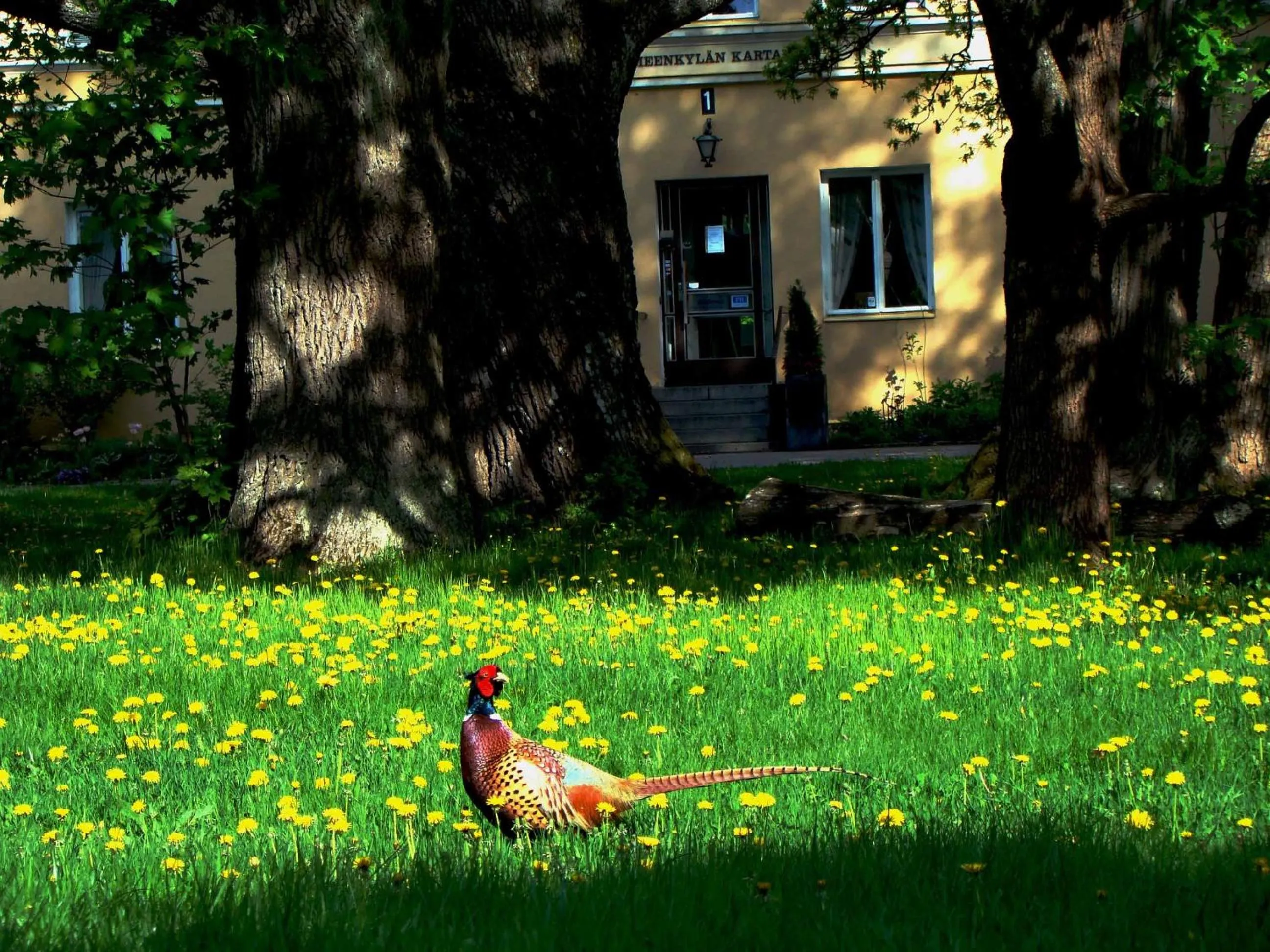 Area and facilities in Hämeenkylän Kartano