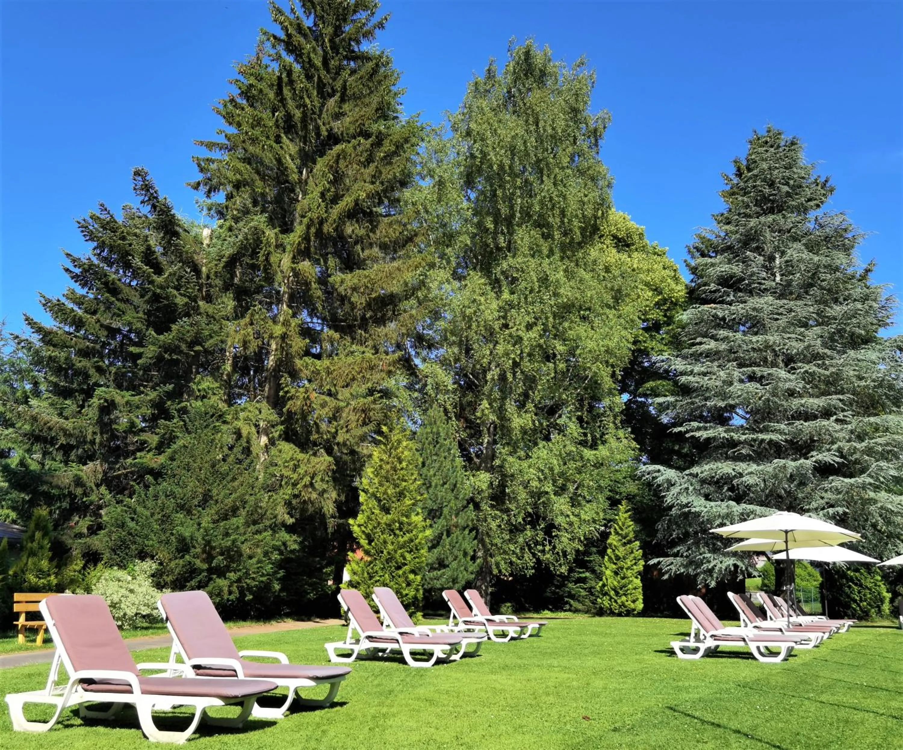 Garden in Hotel & Residence Hochriegel