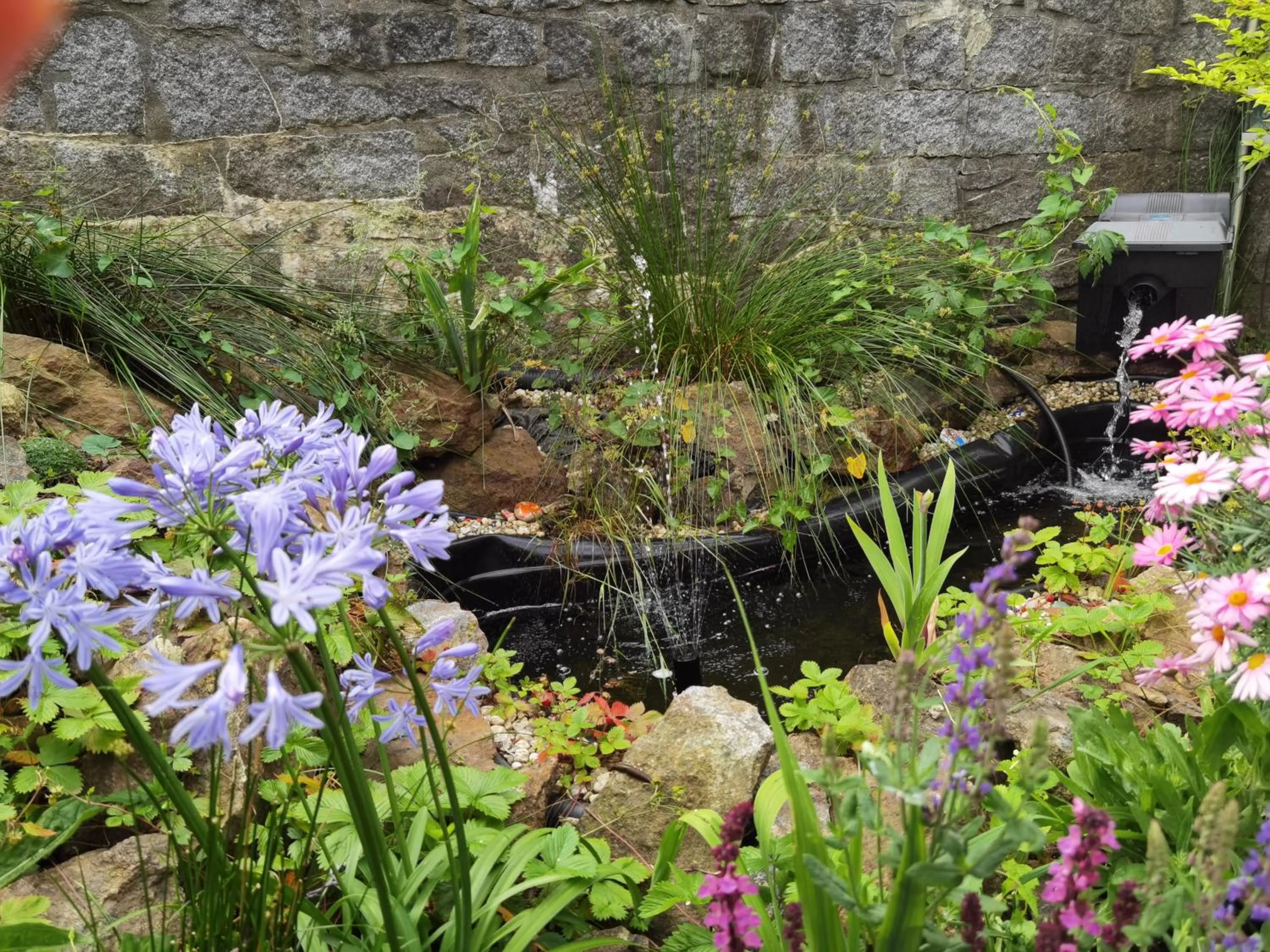 Spring in Hotel & Residence Hochriegel