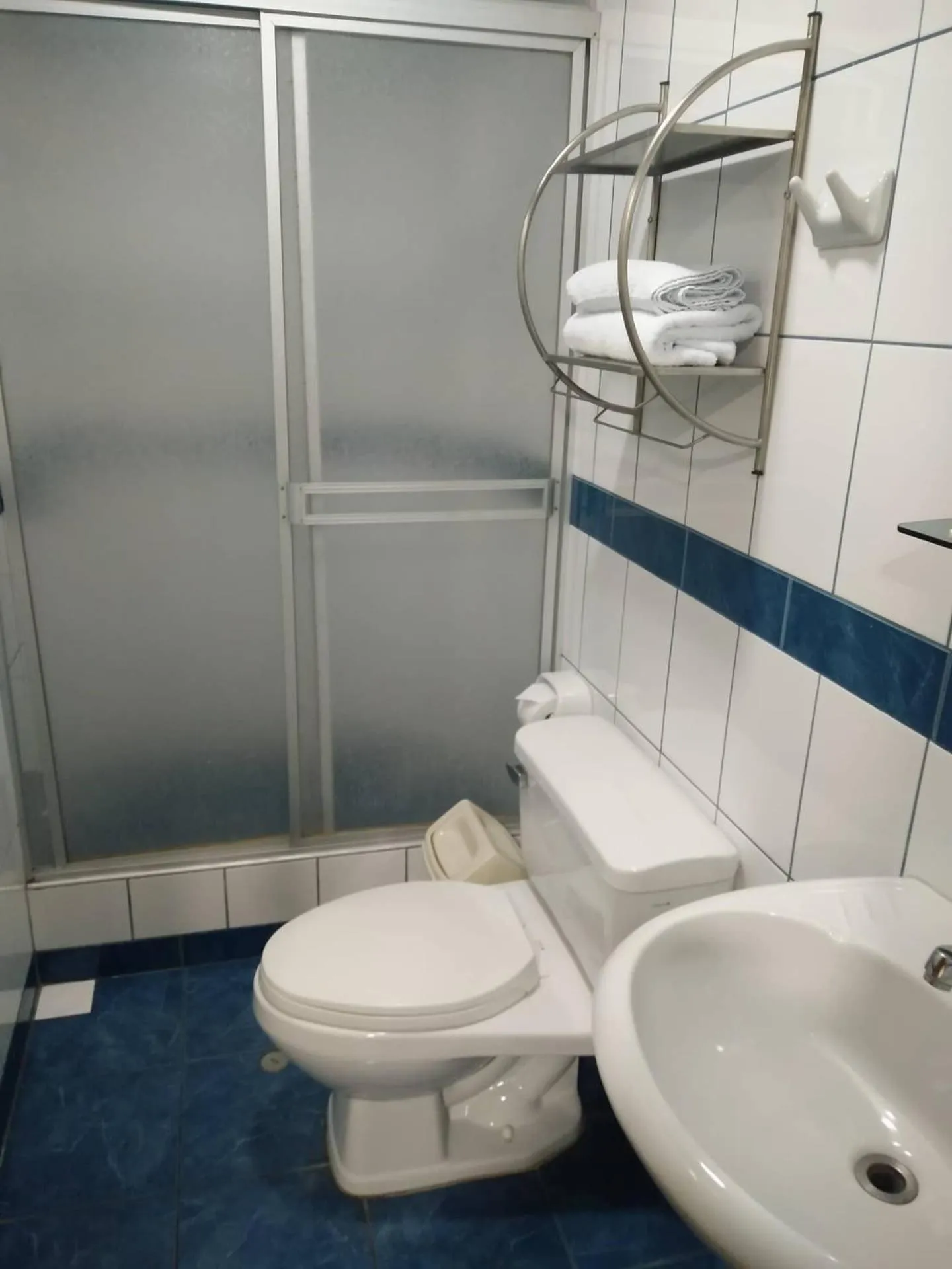 Shower in Hotel Panamericano