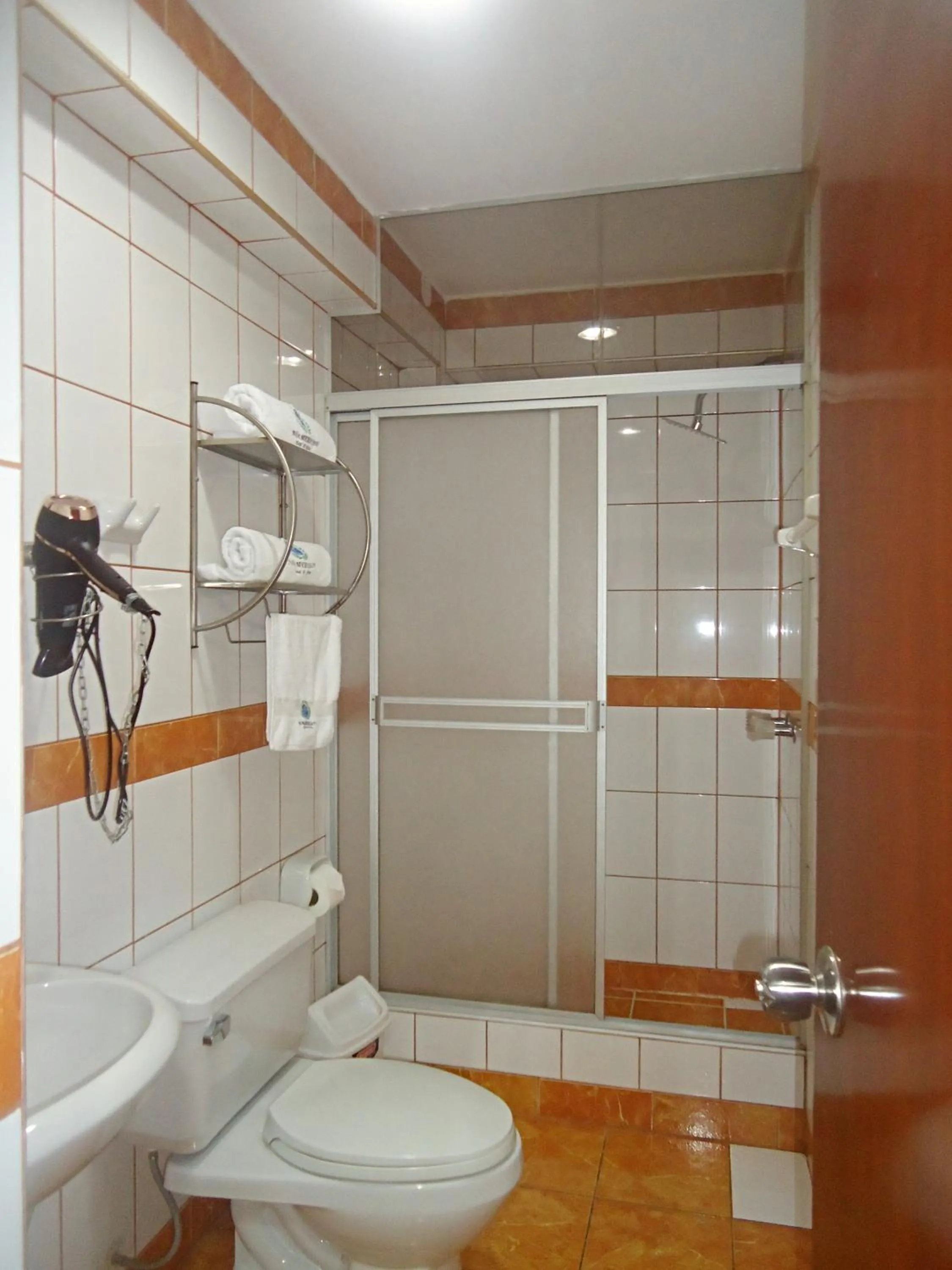 Shower in Hotel Panamericano