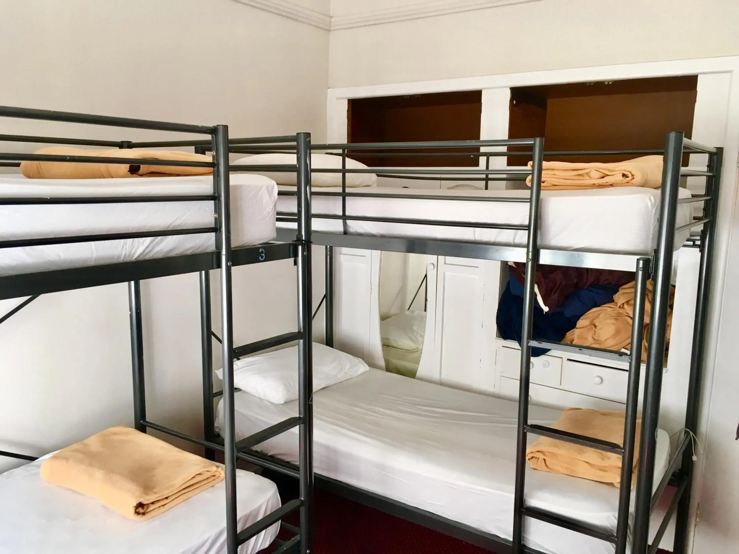 Bunk Bed in Freemans Backpackers