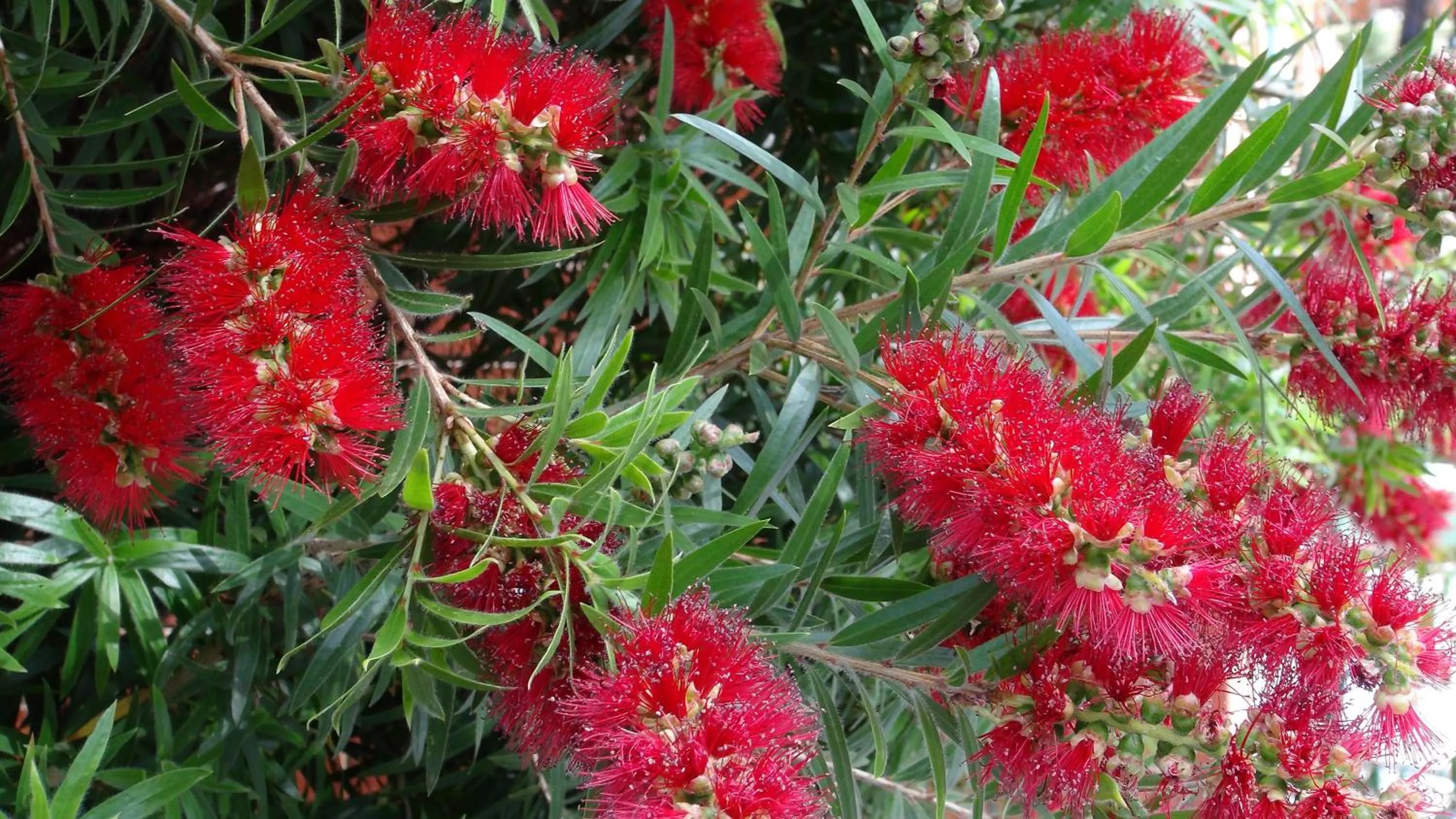 Decorative detail in Gariwerd Motel