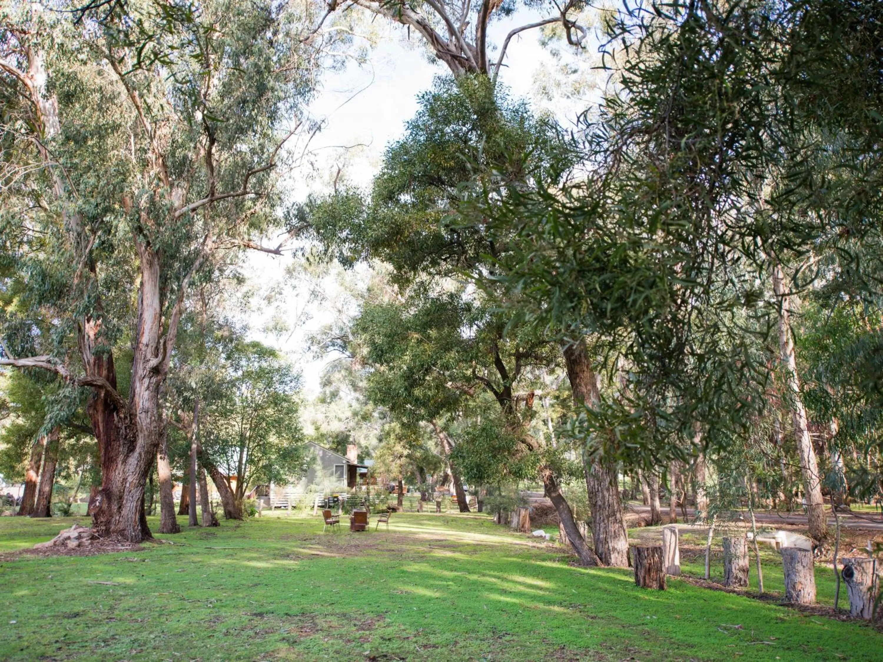 Day in Gariwerd Motel