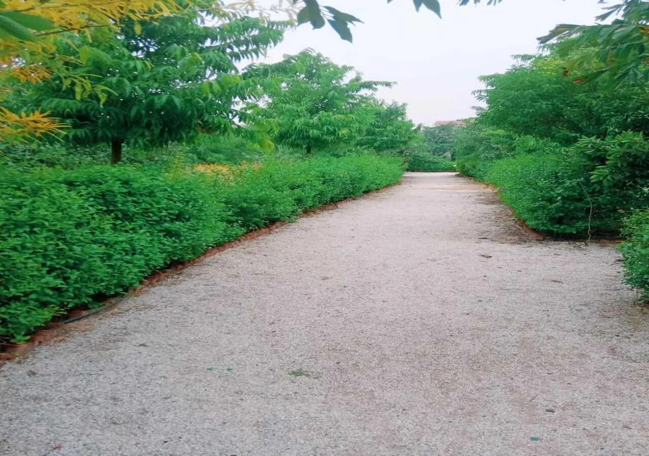 Neighbourhood in Lohana Village Resort