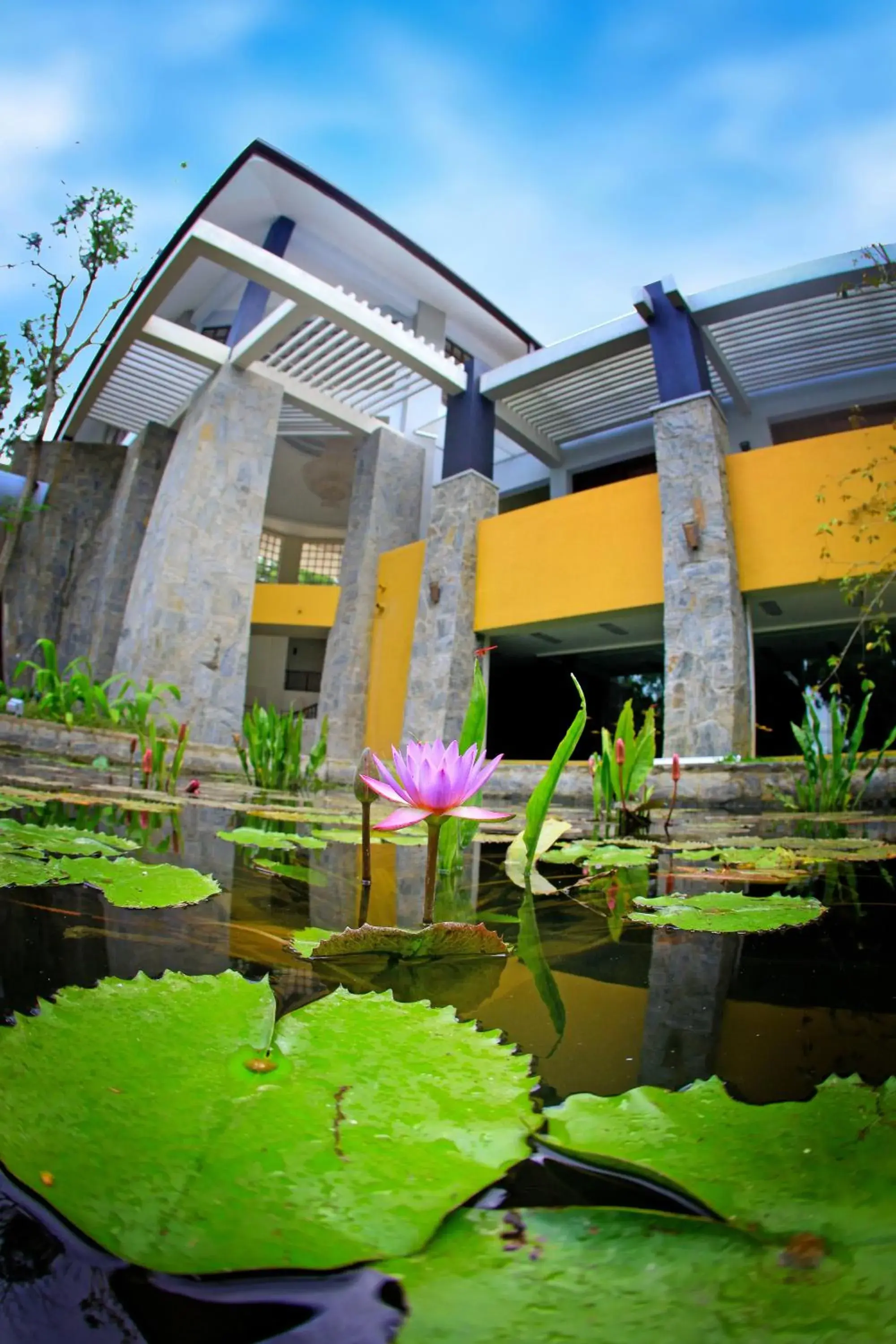 Property building in Grand Udawalawe Safari Resort Property building in Grand Udawalawe Safari Resort