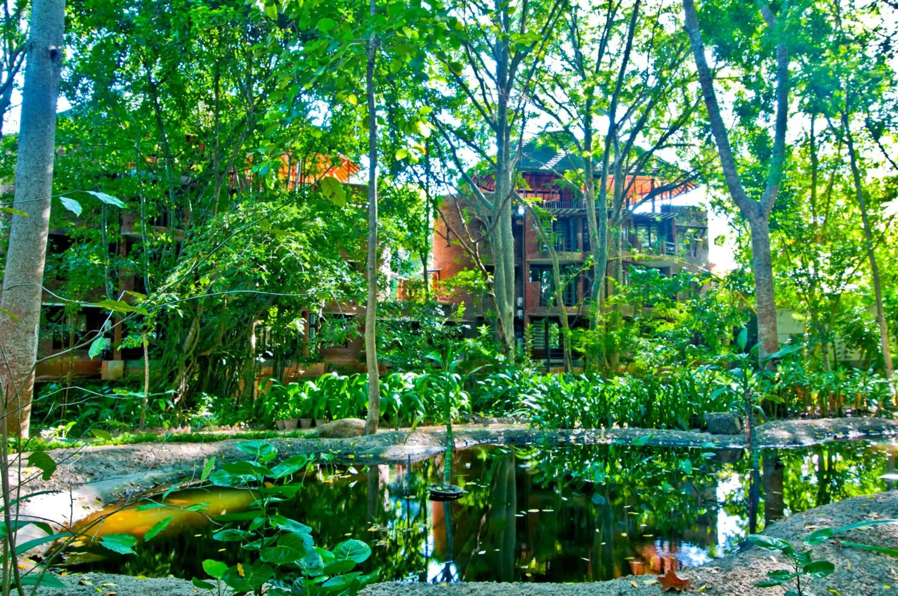 Property building in Grand Udawalawe Safari Resort Property building in Grand Udawalawe Safari Resort