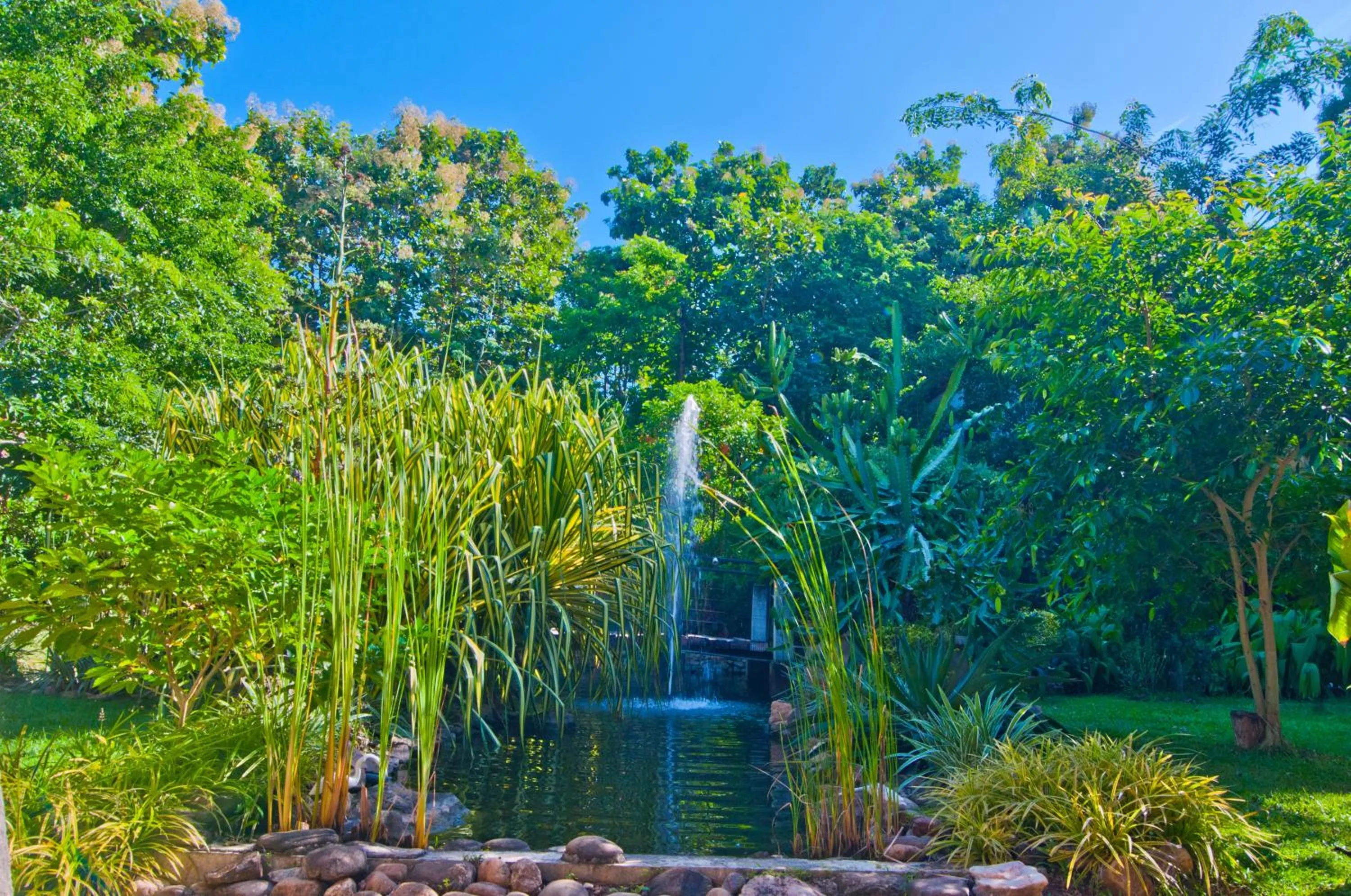 Garden view in Grand Udawalawe Safari Resort