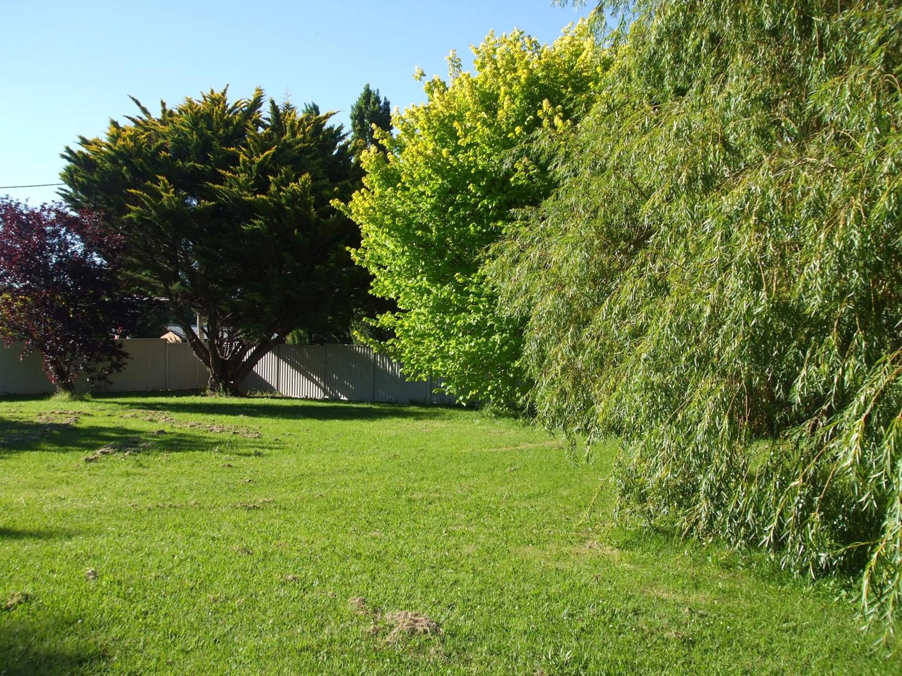 Garden view in Anna Bella Motel Glen Innes