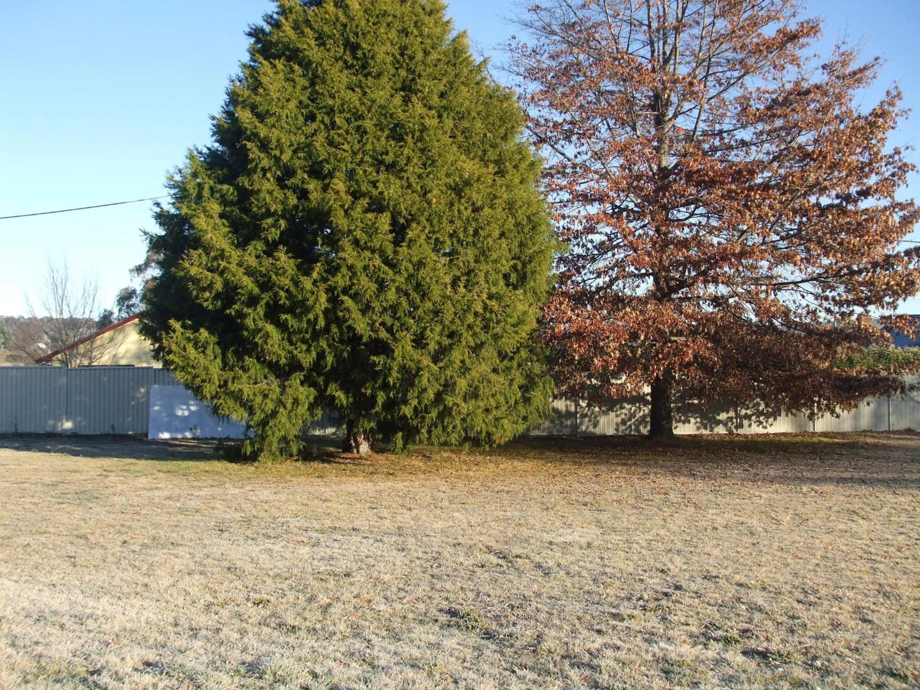 Garden view in Anna Bella Motel Glen Innes