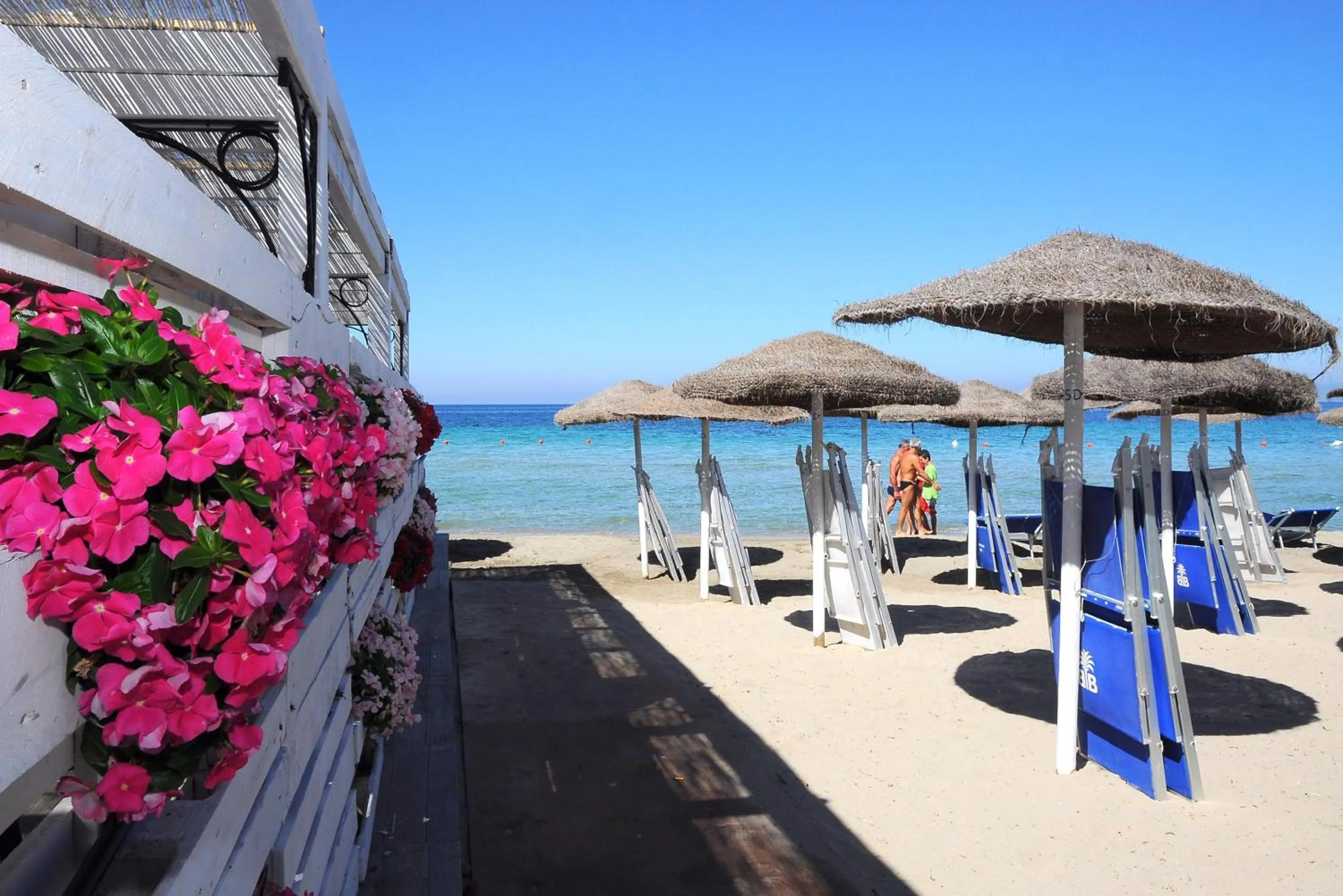Beach in Delfino Beach Hotel
