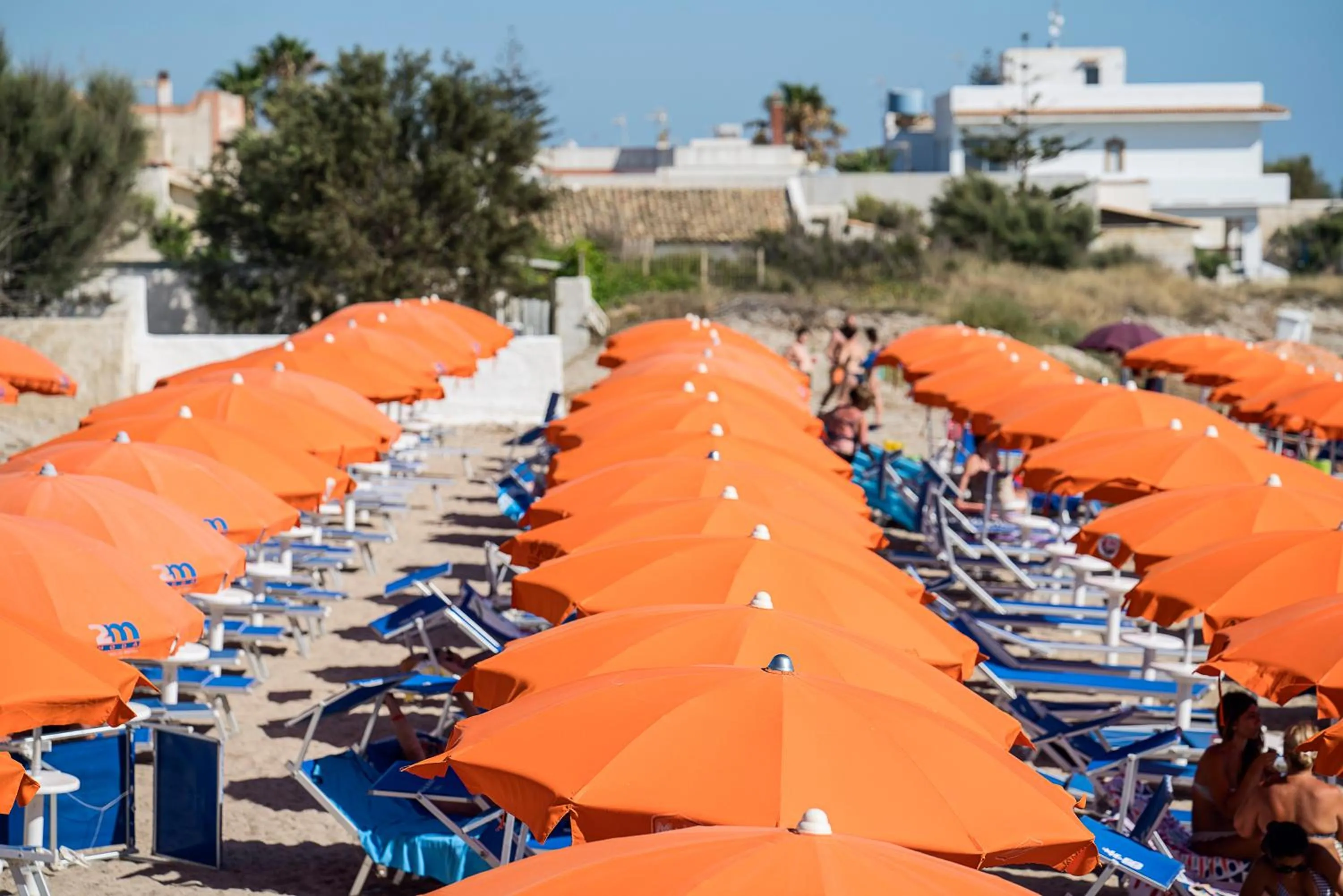 Beach in Delfino Beach Hotel