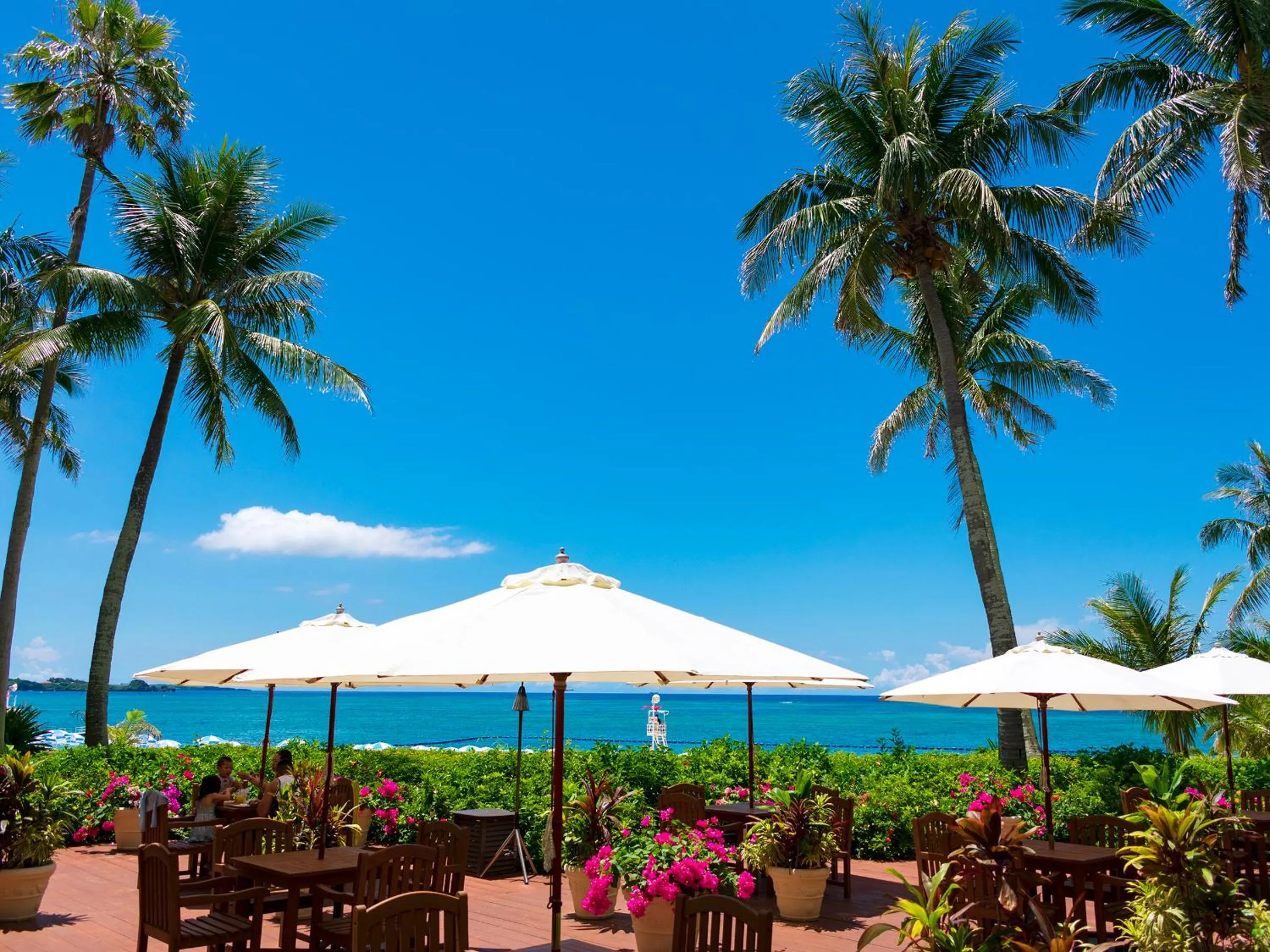 Restaurant/places to eat in The Moon Beach Museum Resort