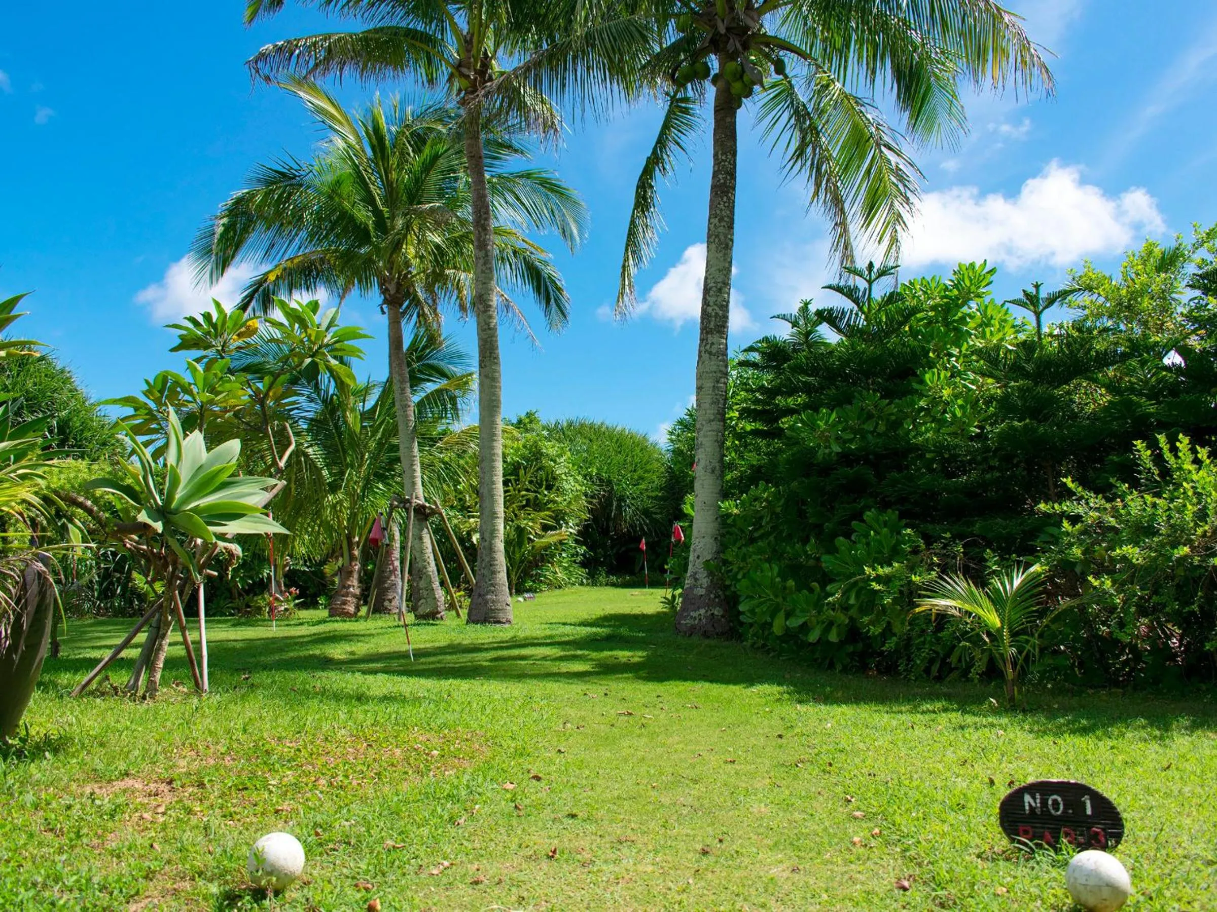 Garden in The Moon Beach Museum Resort