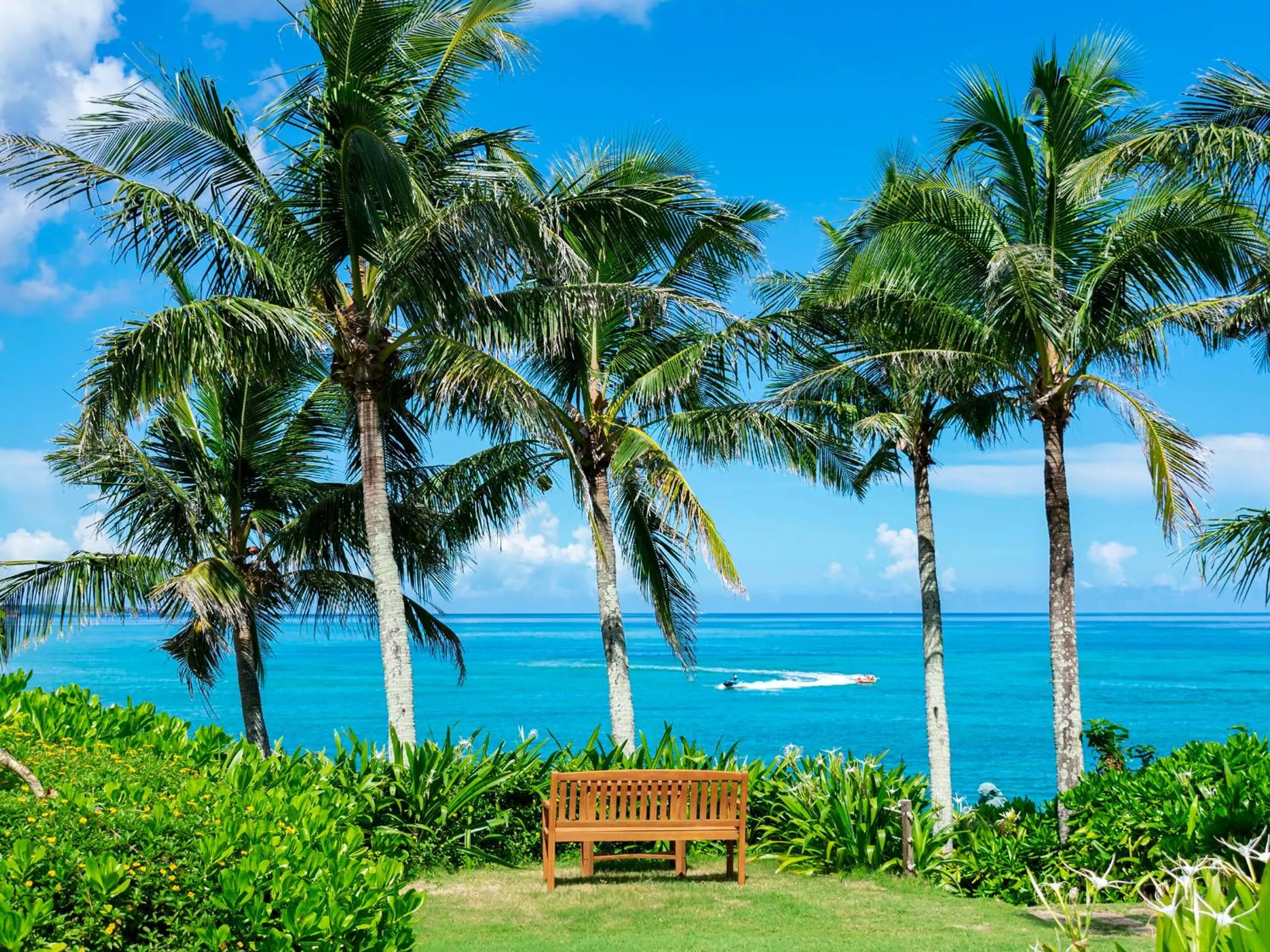 Day in The Moon Beach Museum Resort