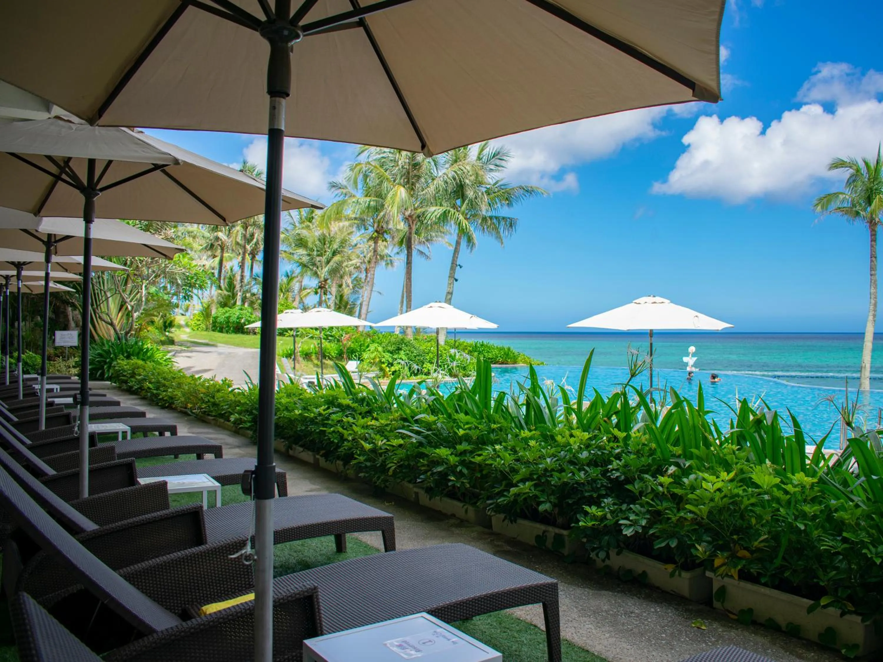 Pool view in The Moon Beach Museum Resort