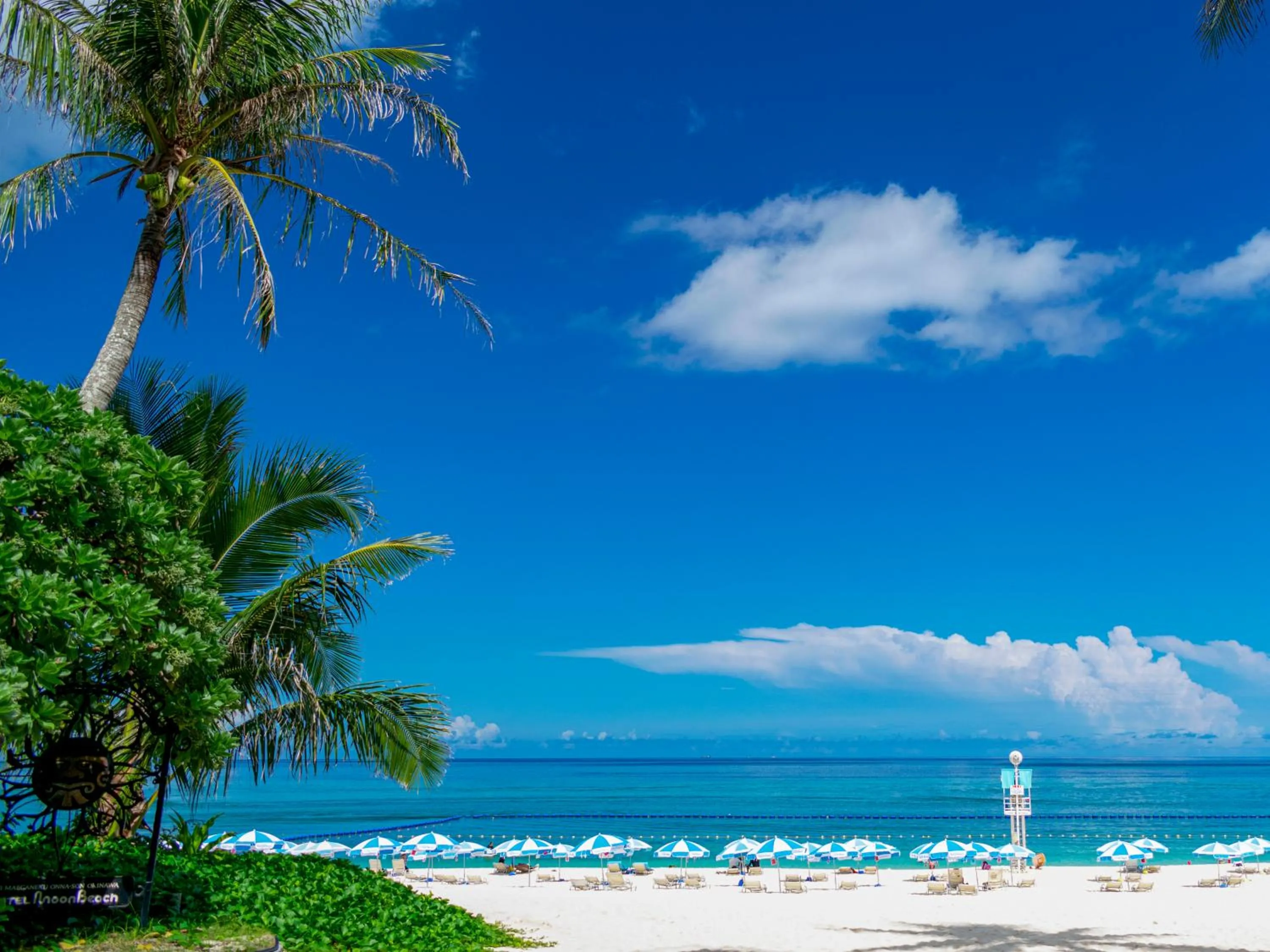 Day in The Moon Beach Museum Resort