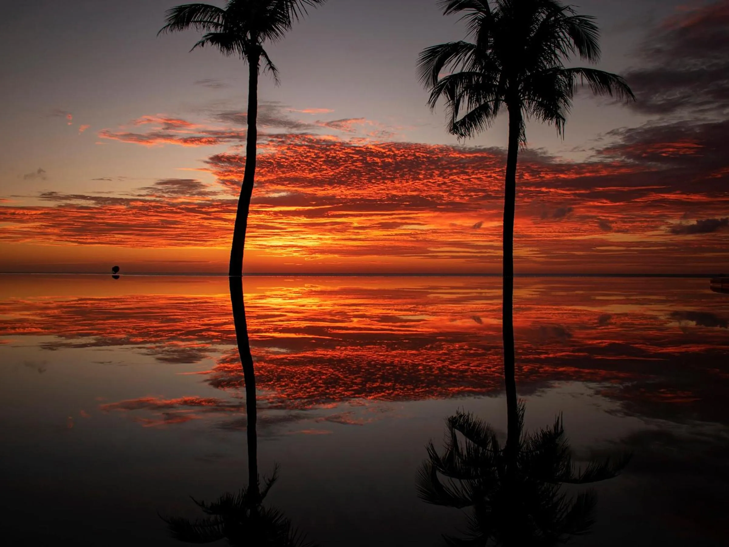 Summer in The Moon Beach Museum Resort