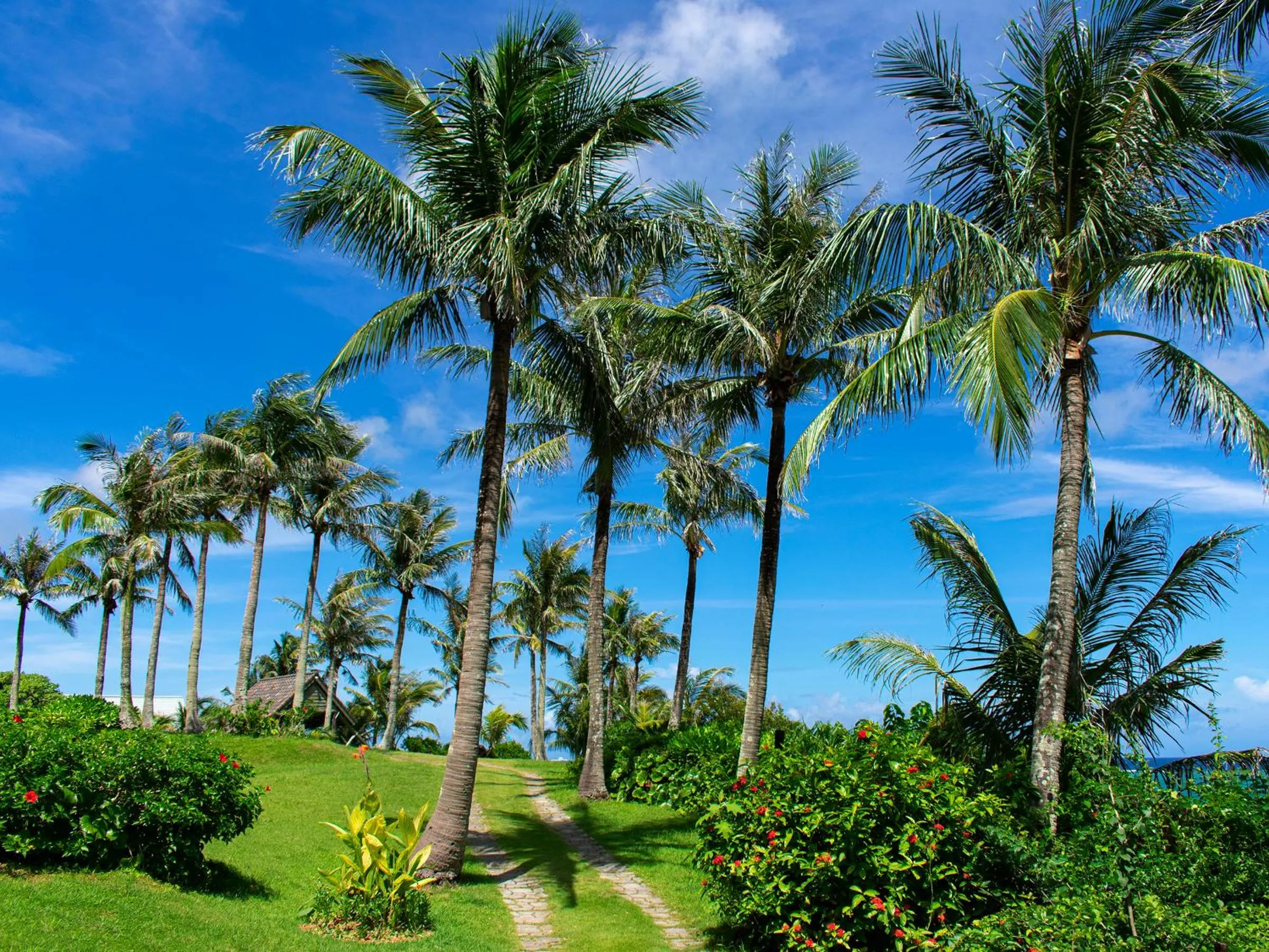 Day in The Moon Beach Museum Resort