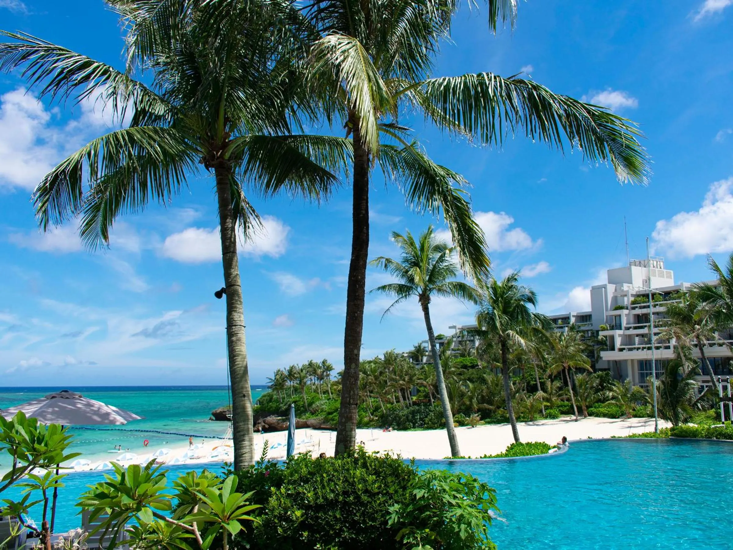 Day in The Moon Beach Museum Resort