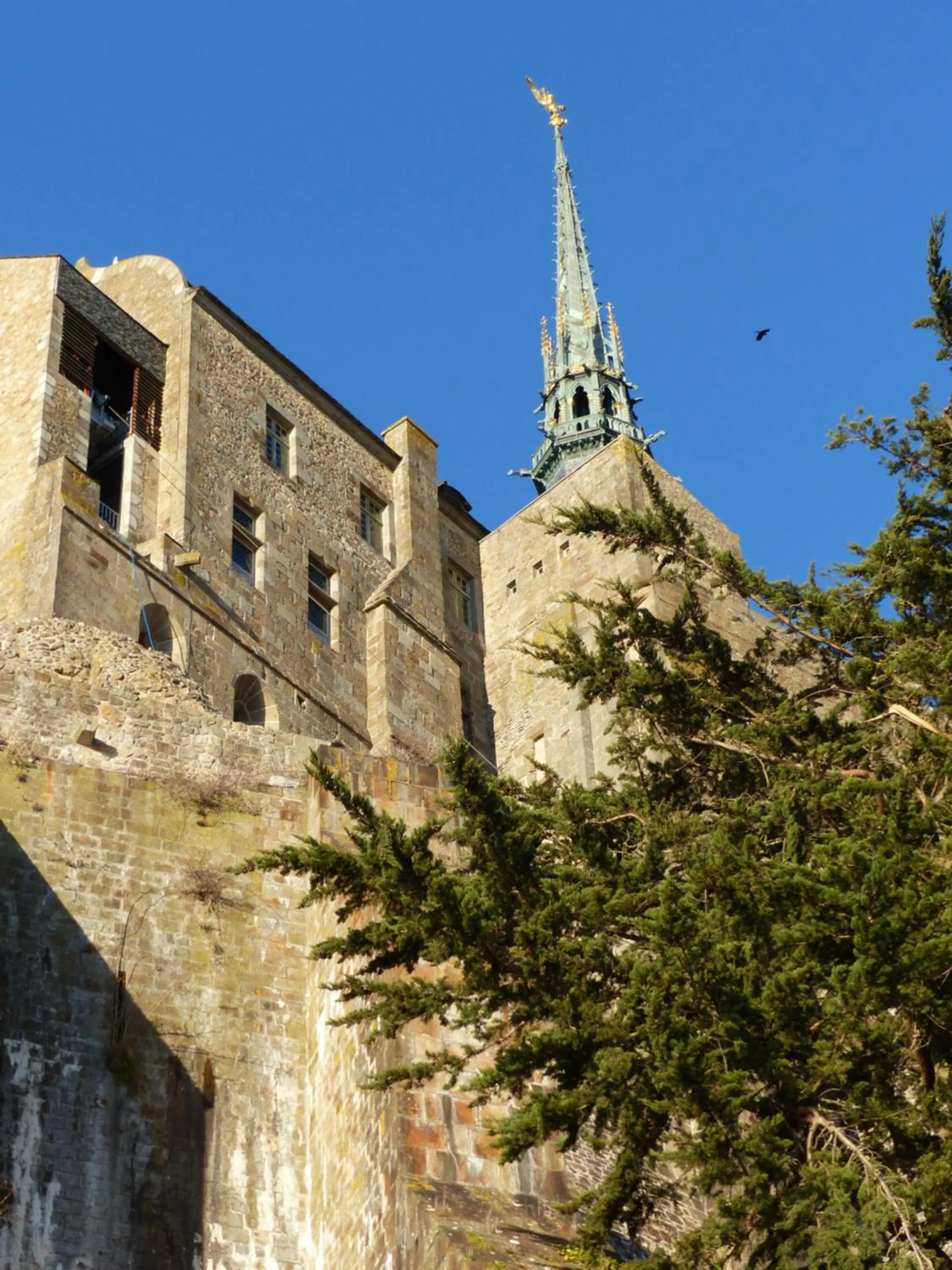 Property building in LA TRANQUILITE