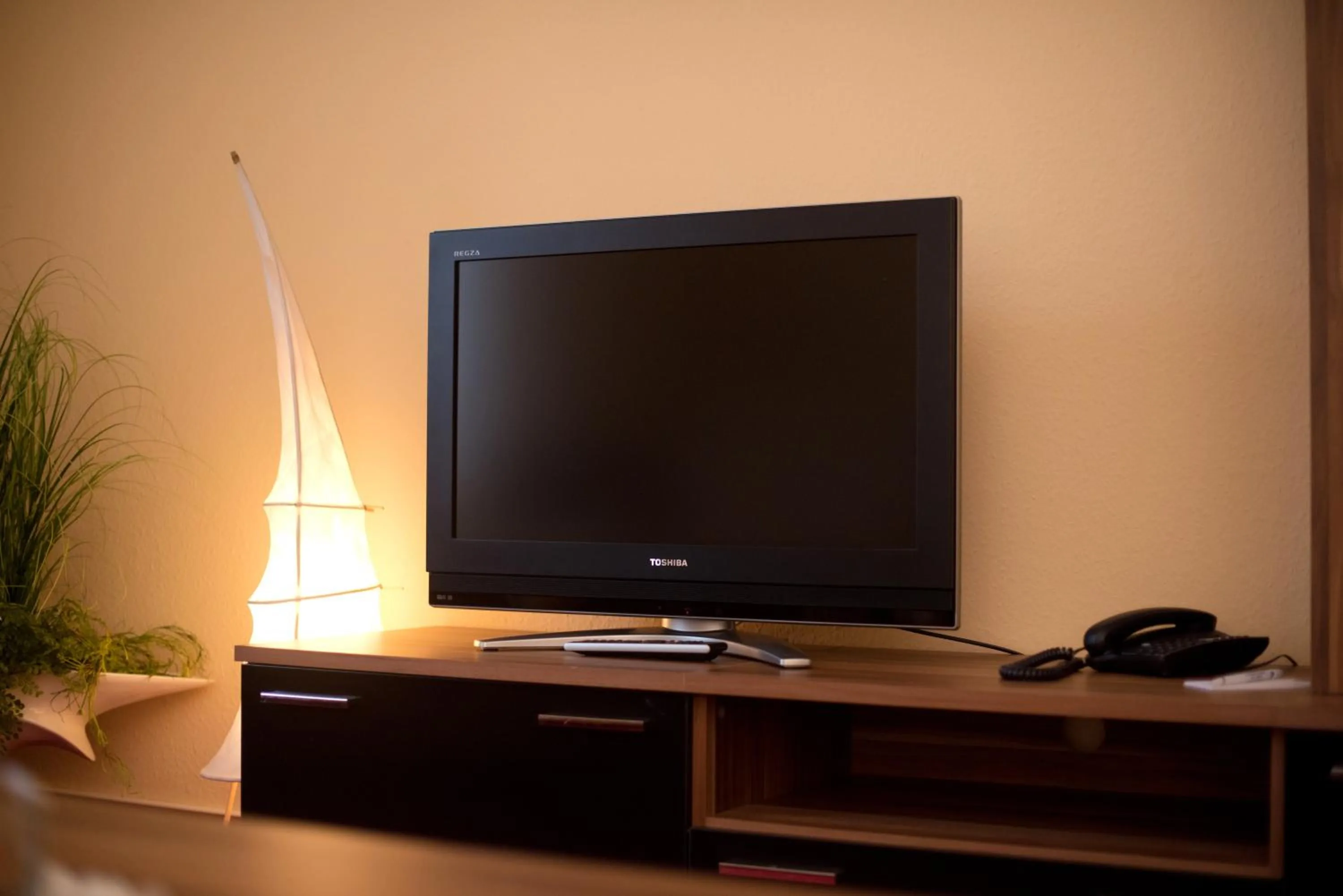 TV and multimedia in City-Hotel Am Wasserturm Halle