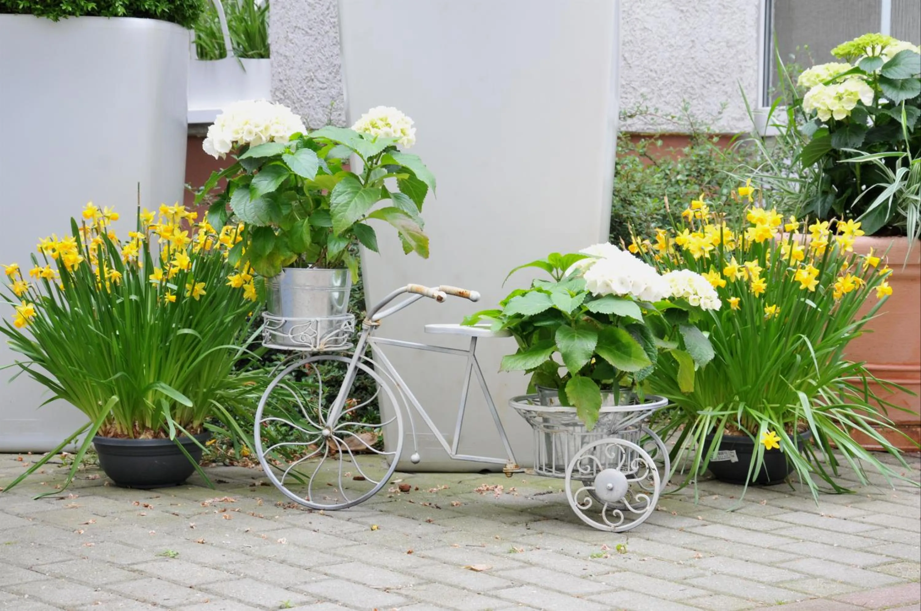Patio in City-Hotel Am Wasserturm Halle