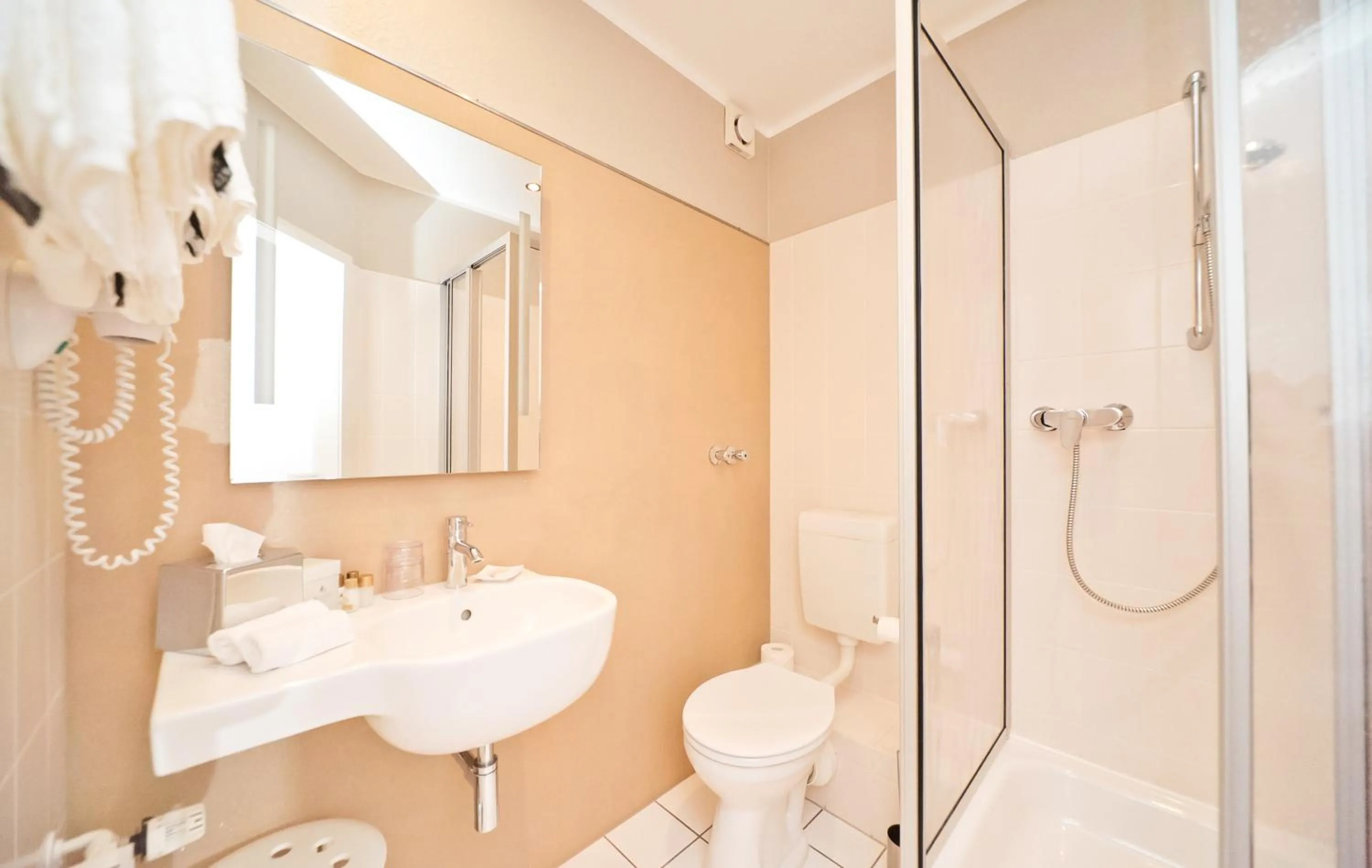 Toilet in City-Hotel Am Wasserturm Halle