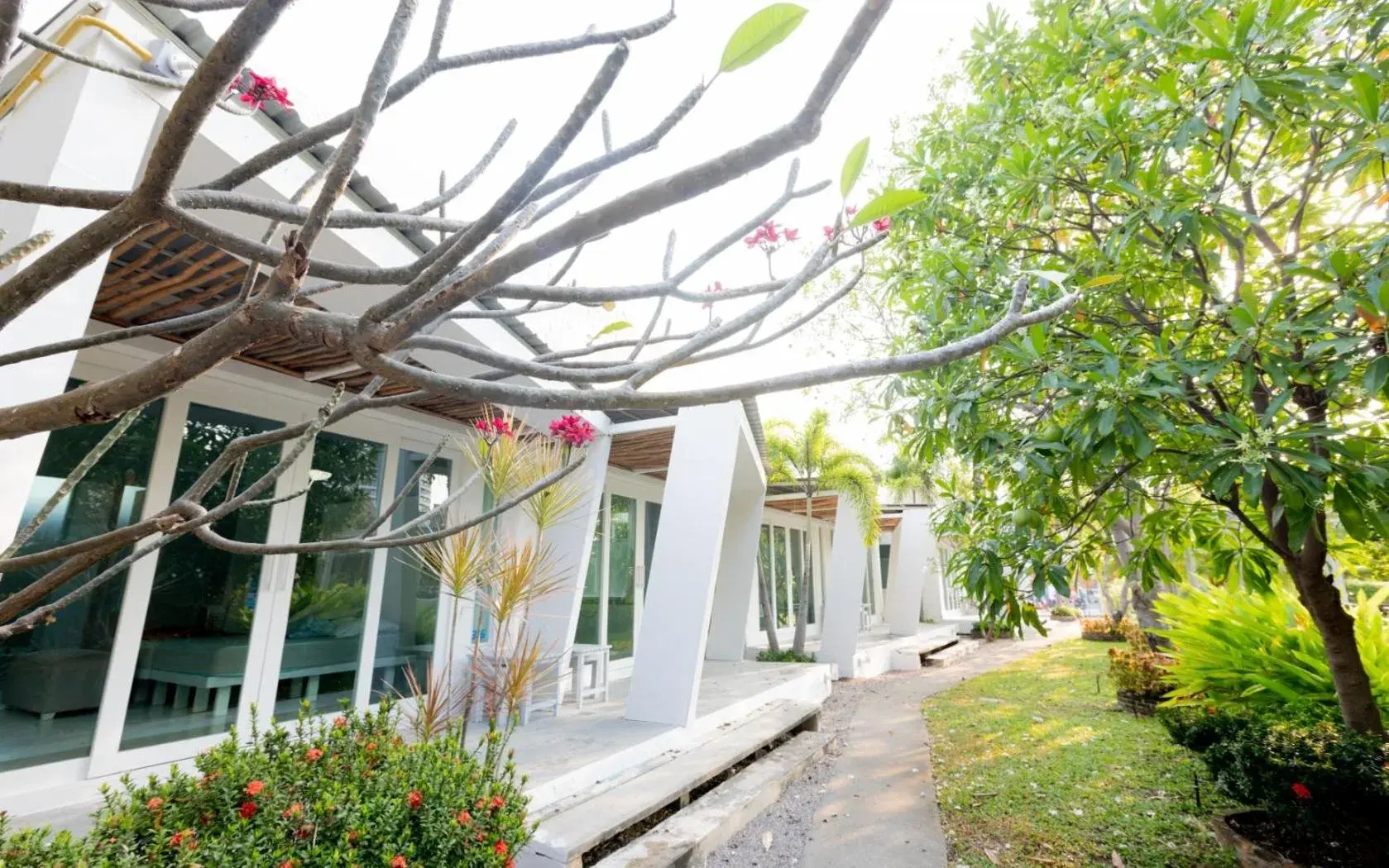 Property building in Kochira Property building in Kochira