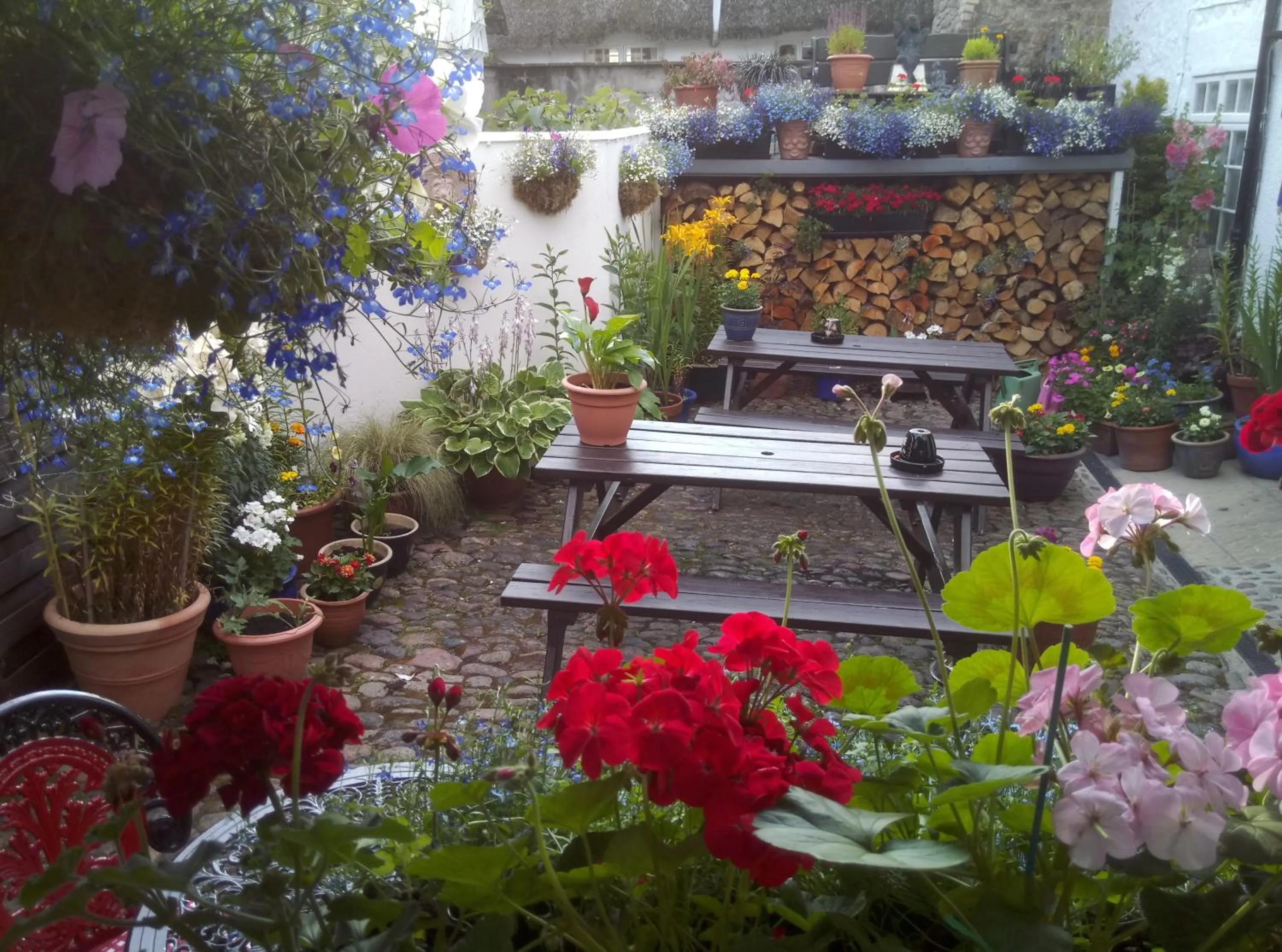 Garden in The Globe Inn