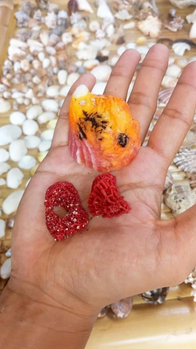 Neighbourhood in Alden Beach House