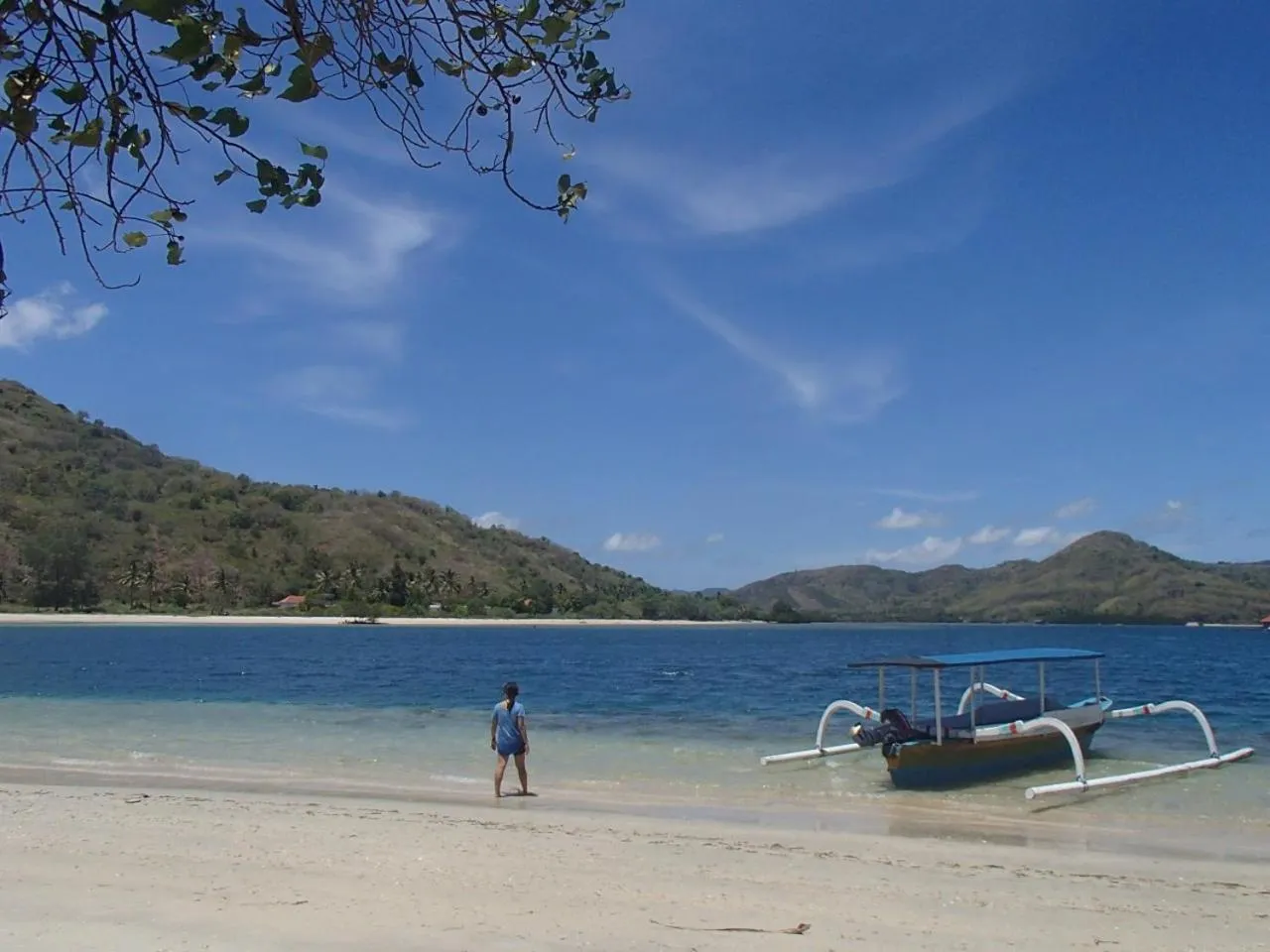 Off site in Alden Beach House