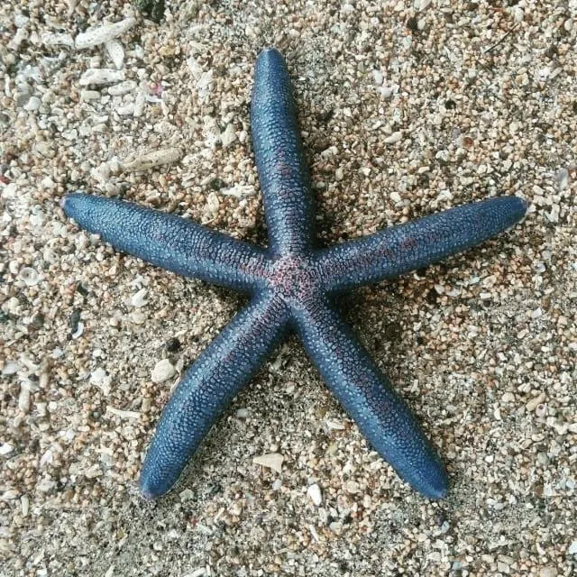 Neighbourhood in Alden Beach House