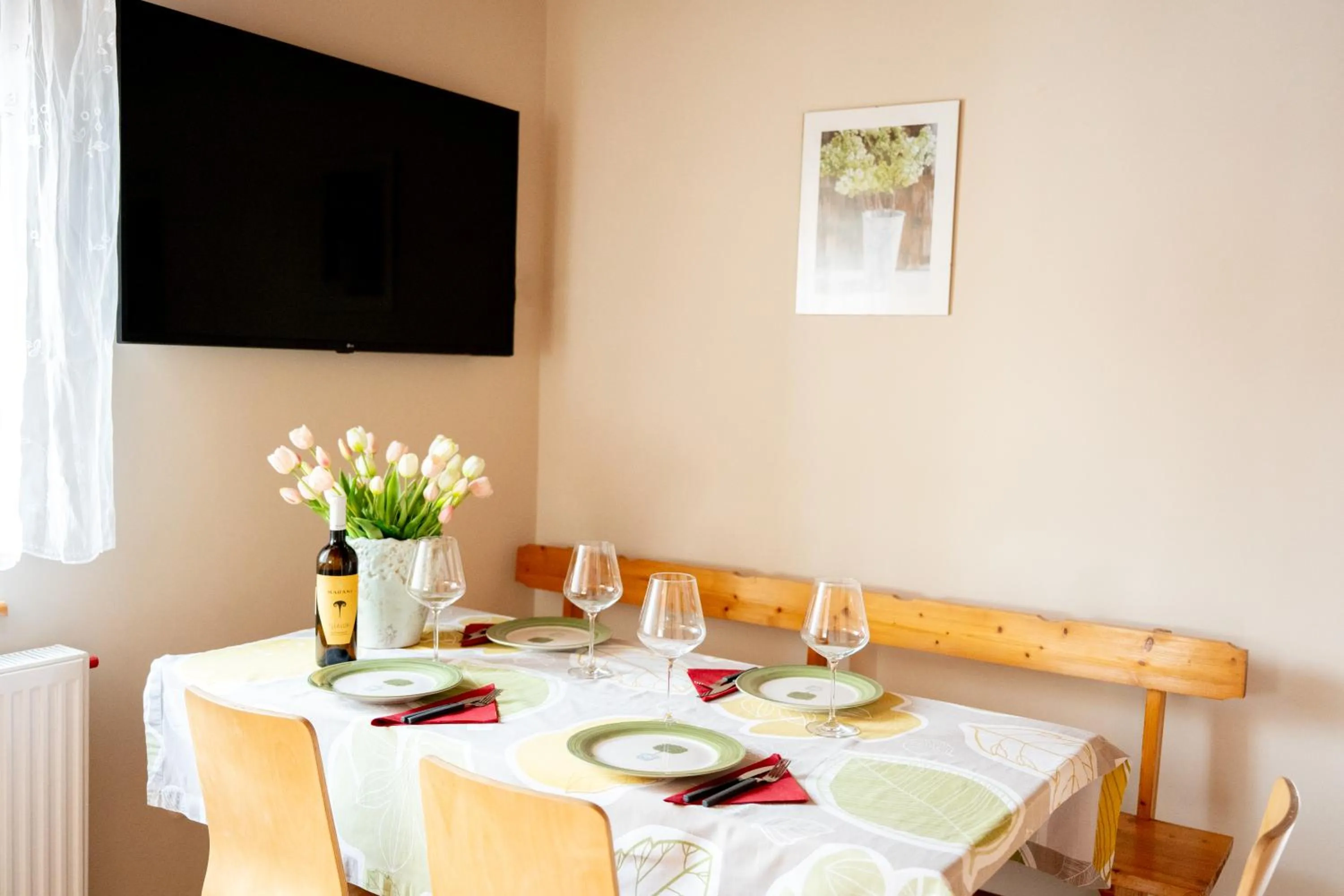 Apartament u Ani 1
