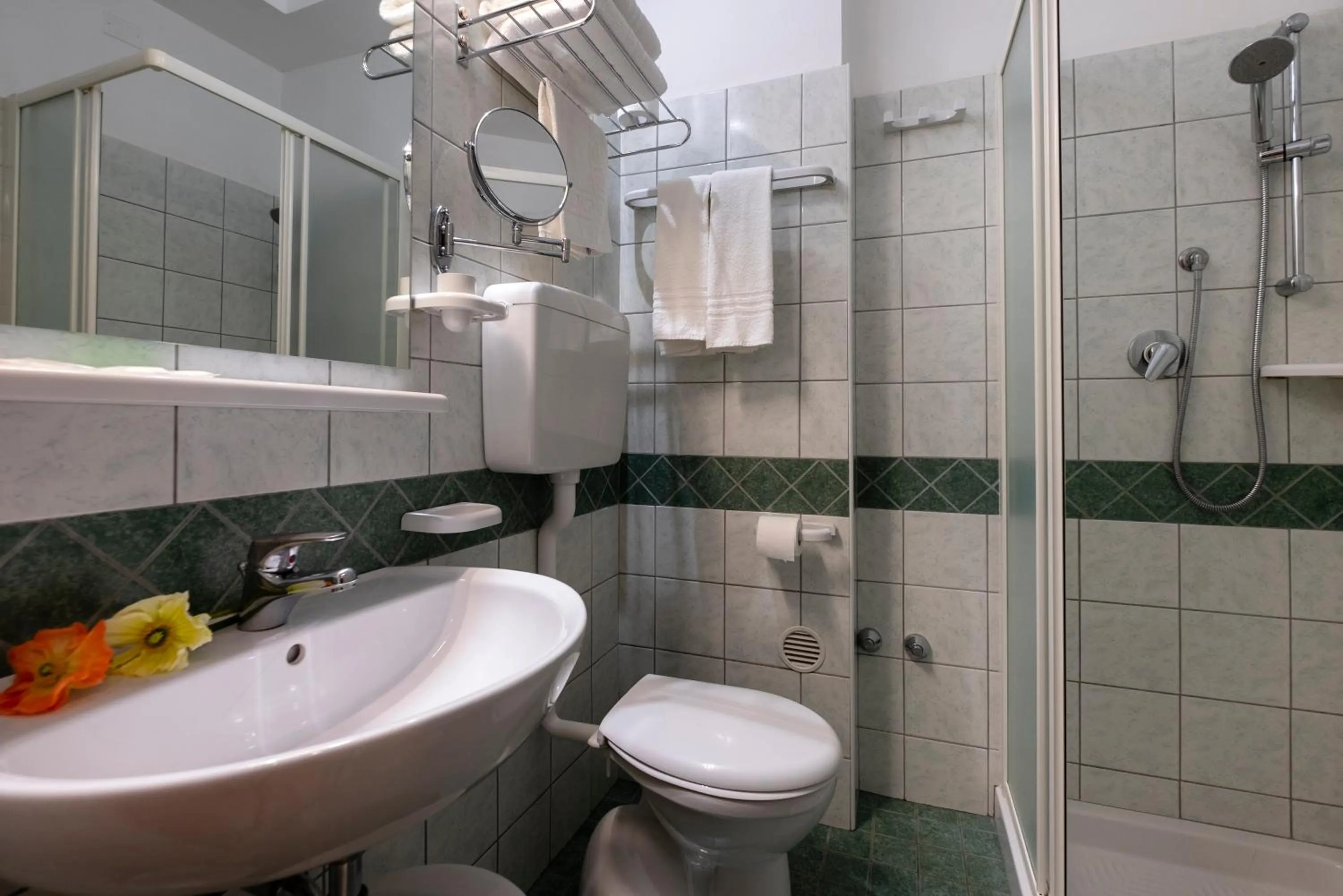 Double or Twin Room in Hotel Elios