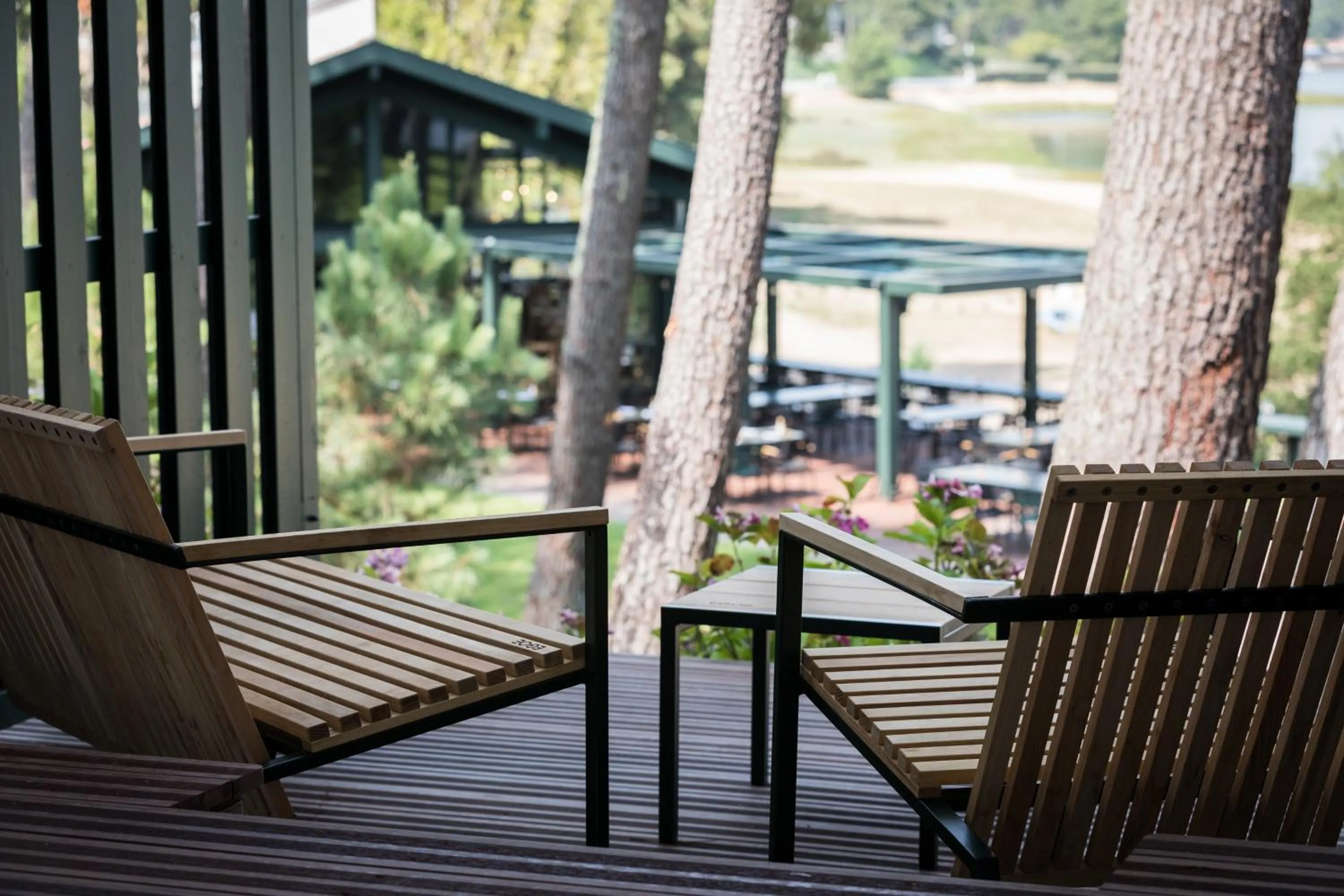 Balcony/Terrace in Hôtel Les Hortensias du Lac