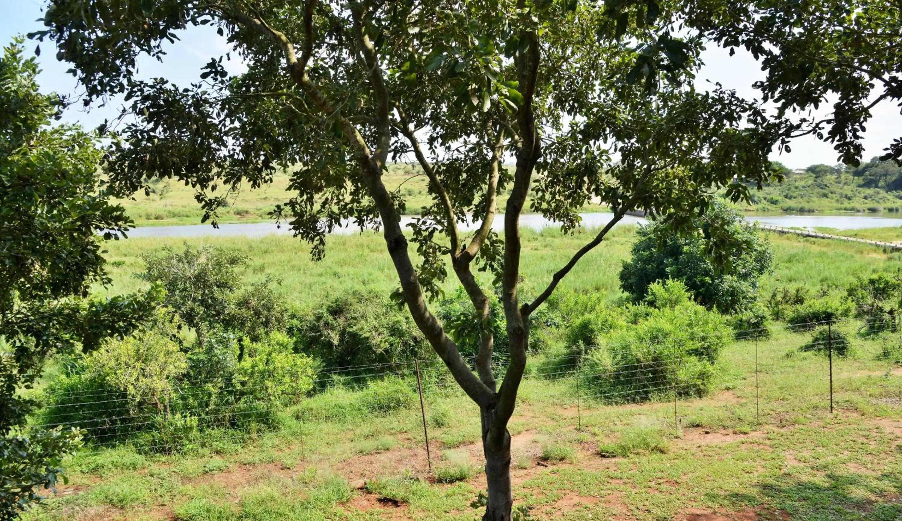 River view in Elephant Walk Retreat