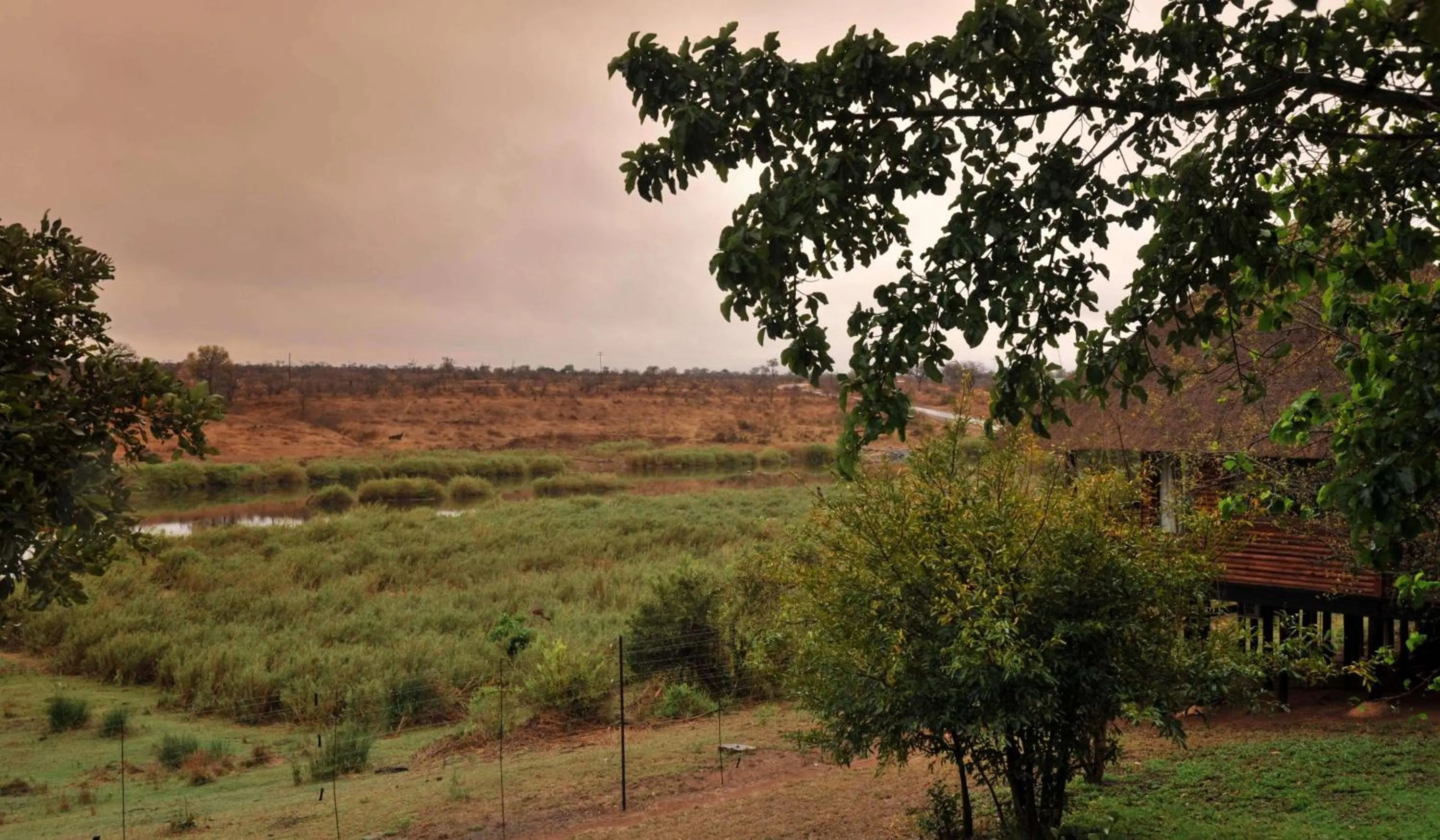 View (from property/room) in Elephant Walk Retreat