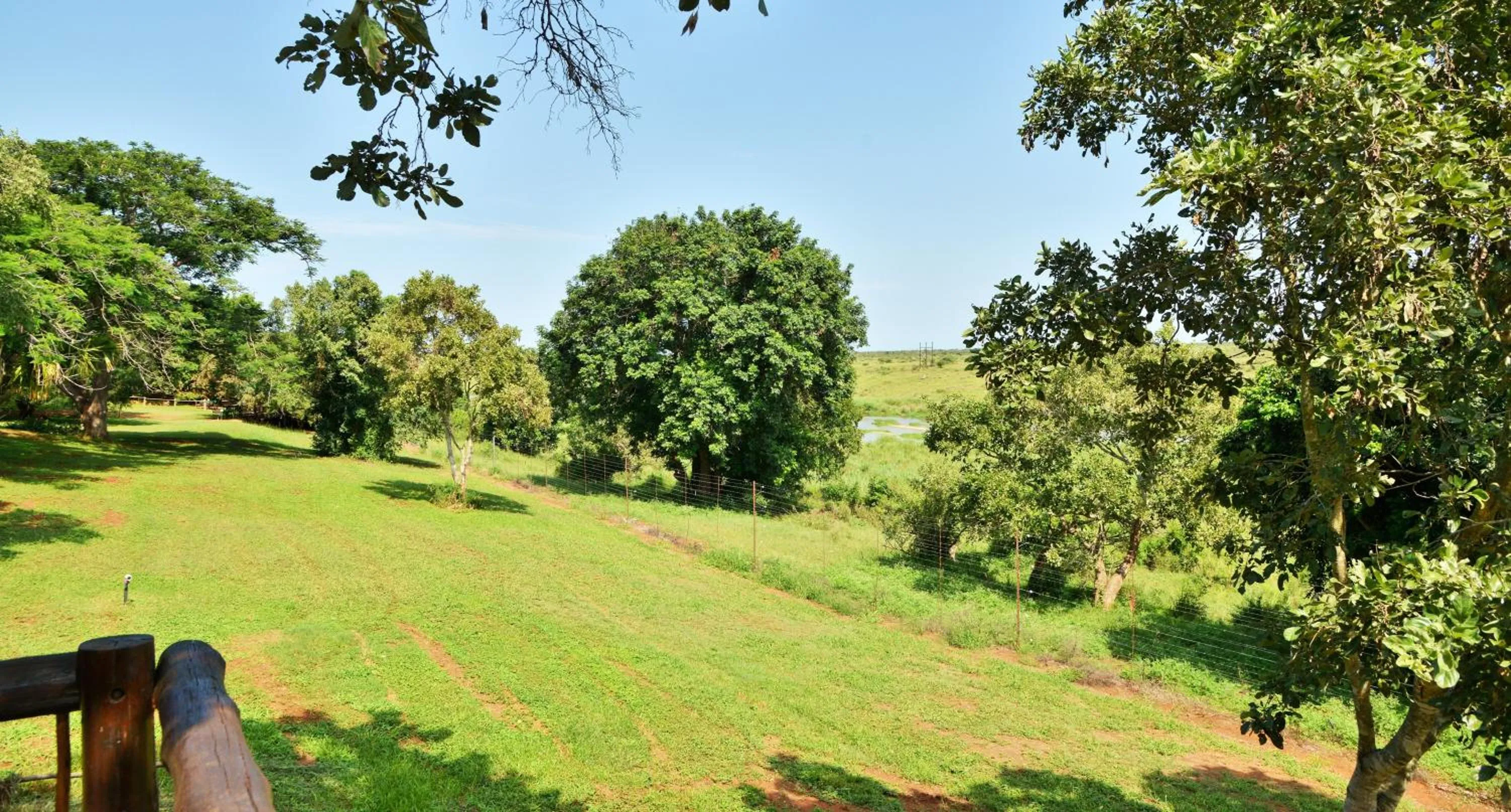 Garden view in Elephant Walk Retreat