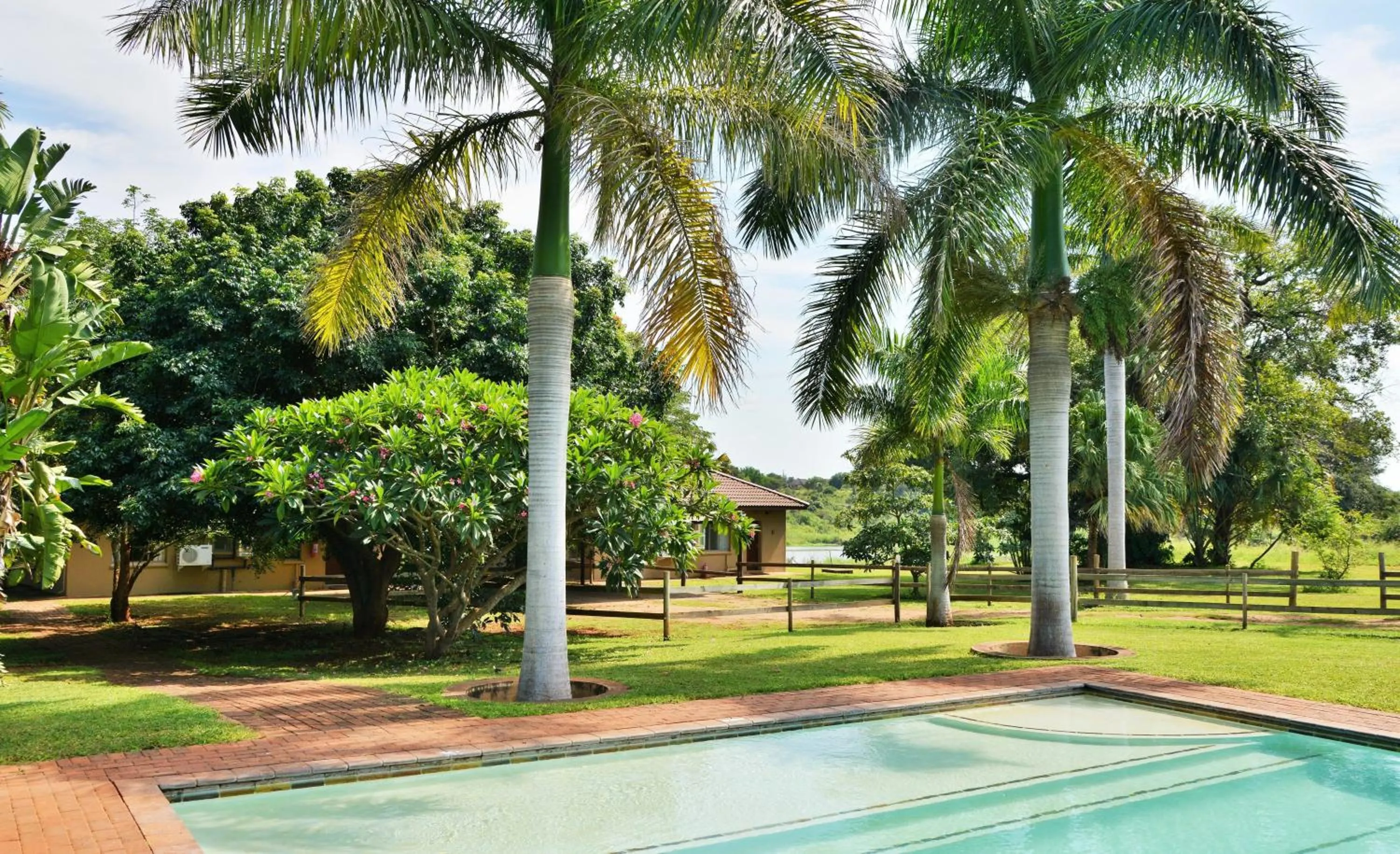 Swimming pool in Elephant Walk Retreat
