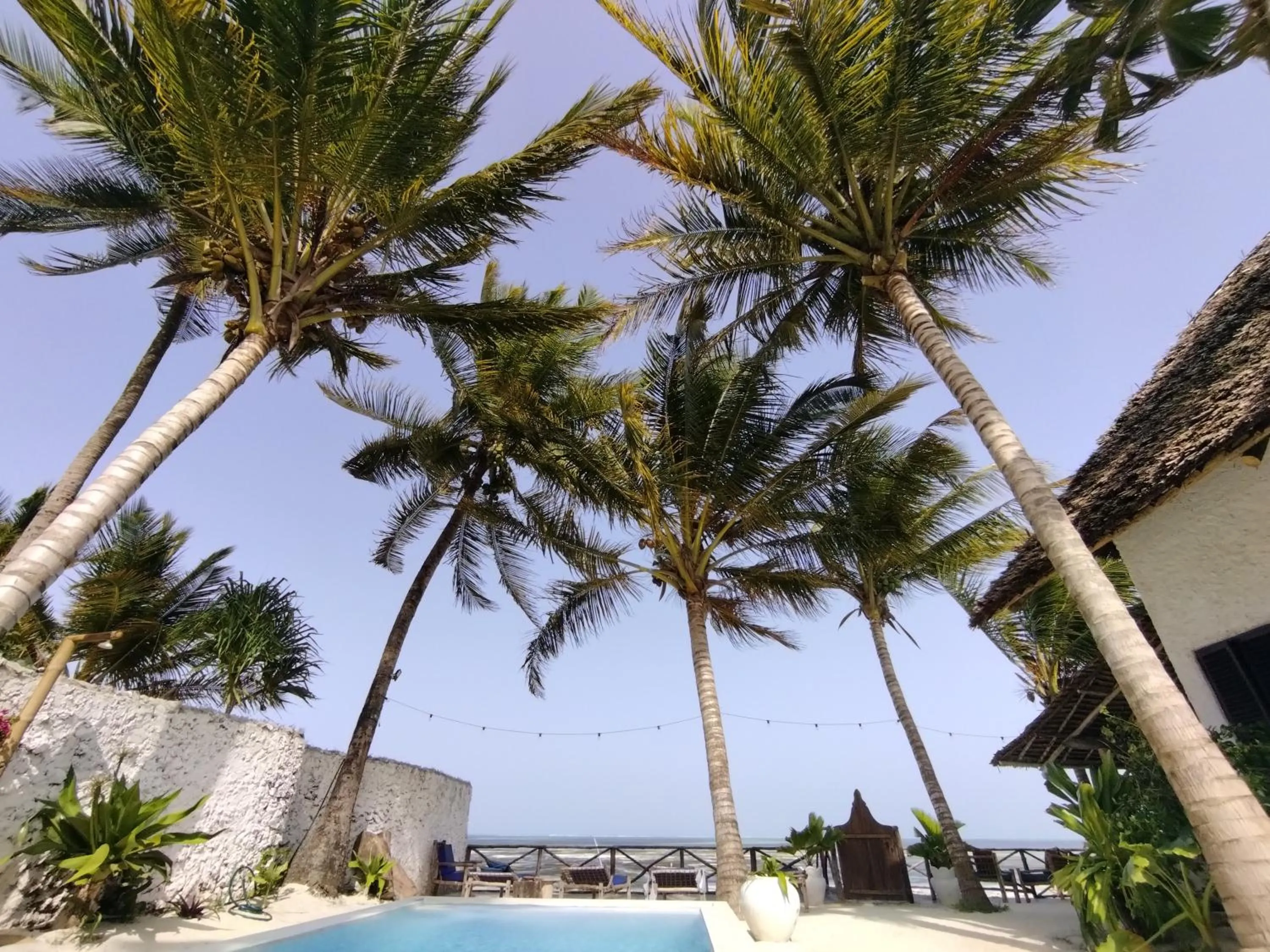 Pool view in Joya Boutique Hotel