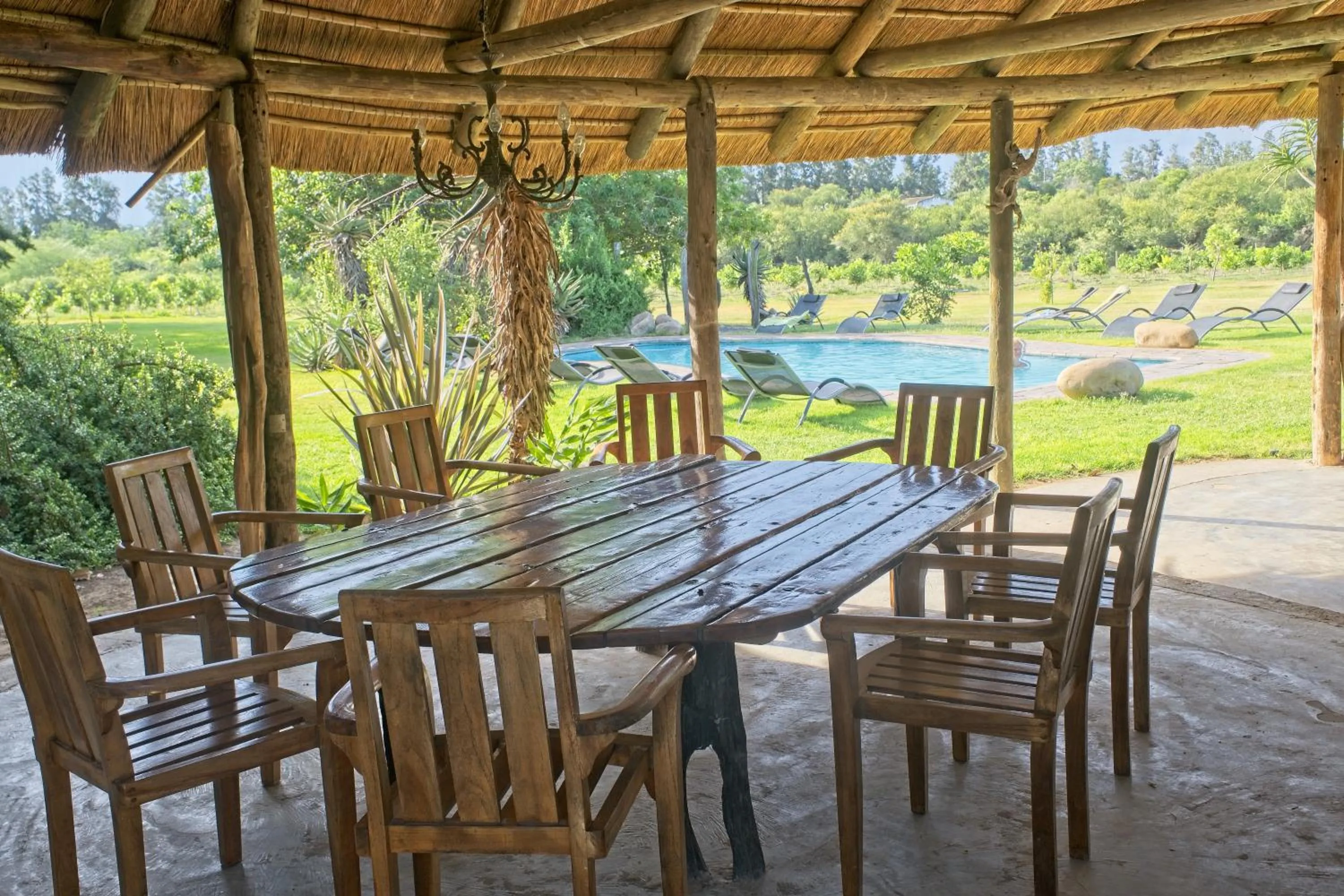 Garden in Chrislin African Lodge