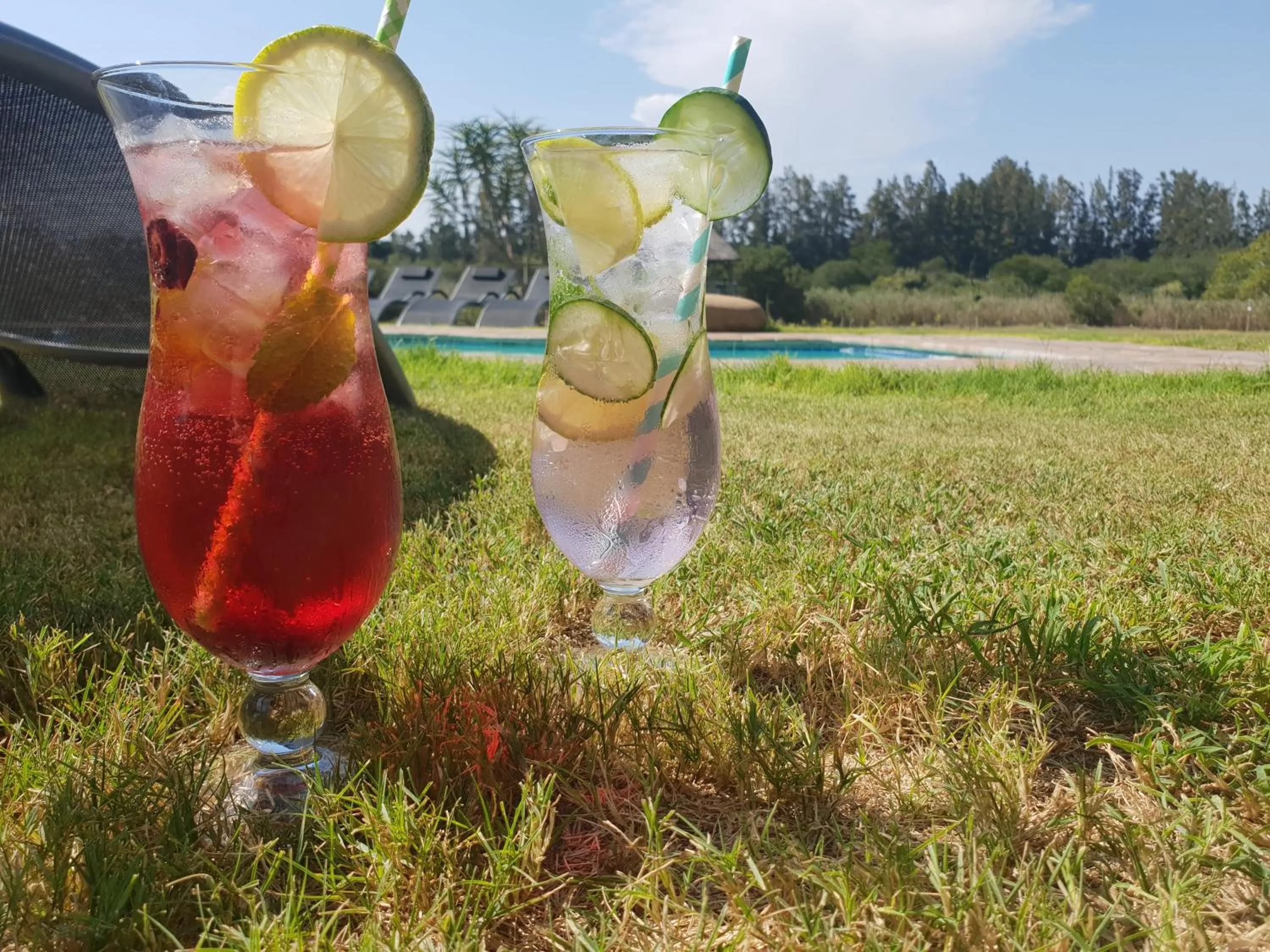 Drinks in Chrislin African Lodge