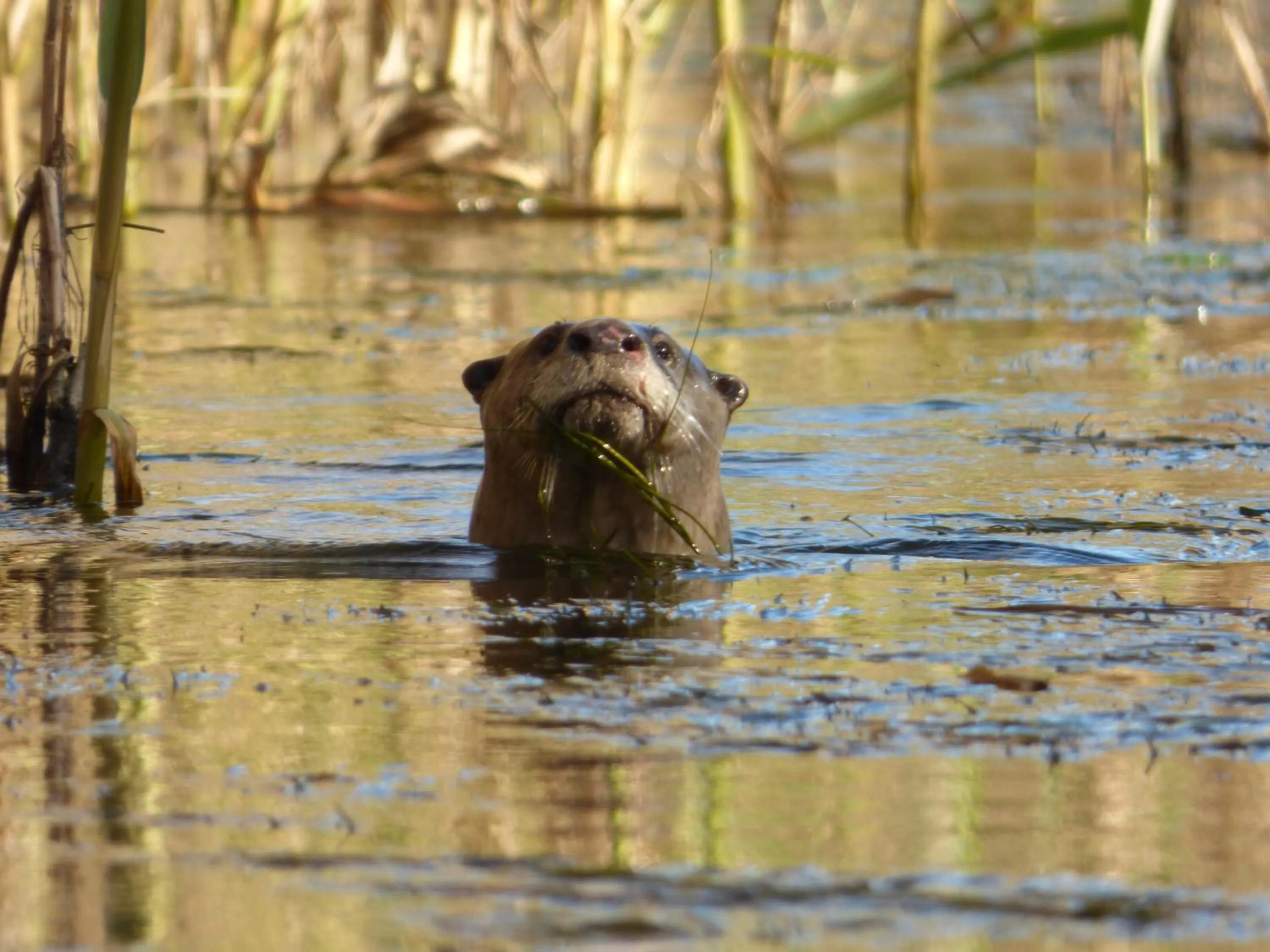 Natural landscape in Chrislin African Lodge