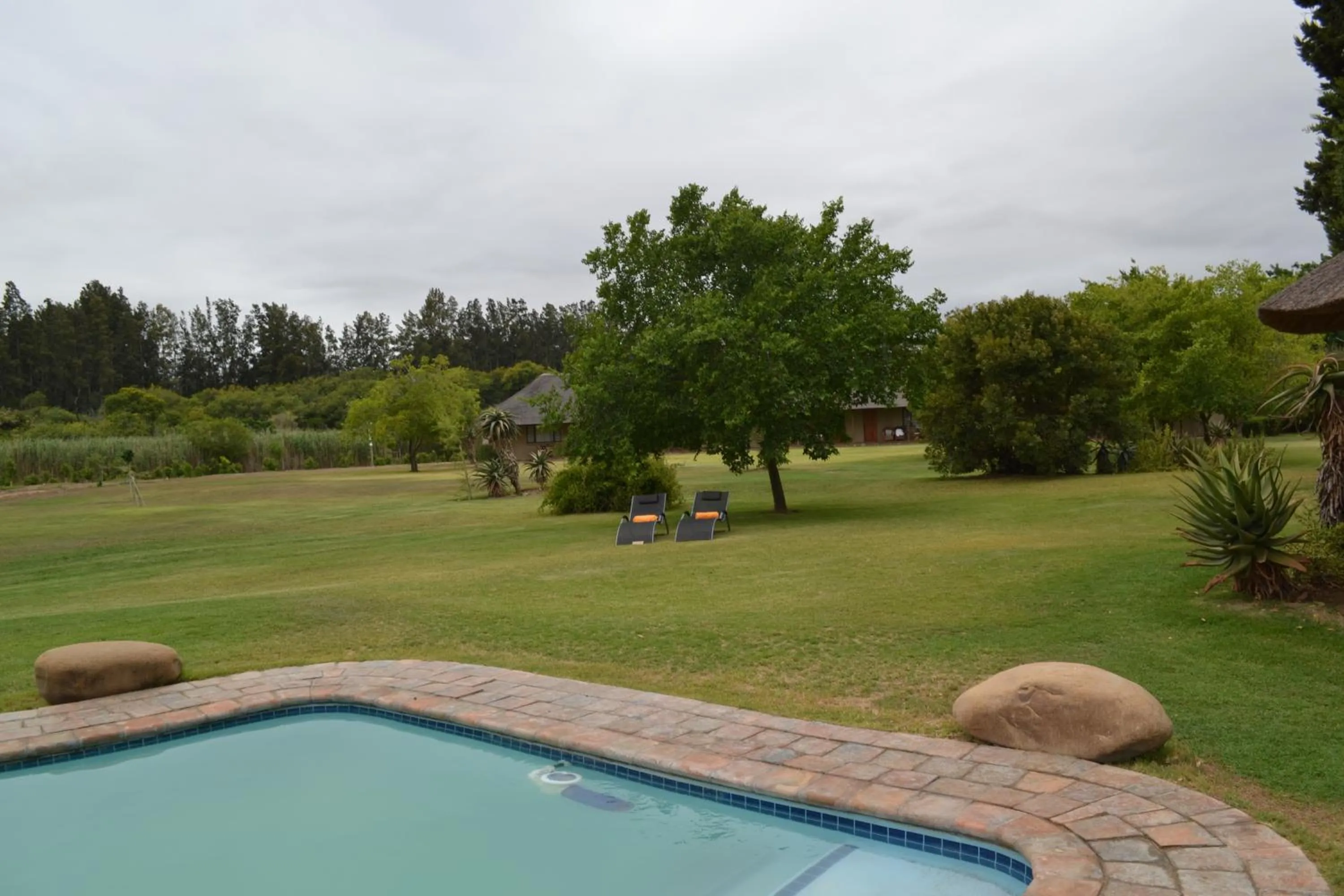 Garden in Chrislin African Lodge