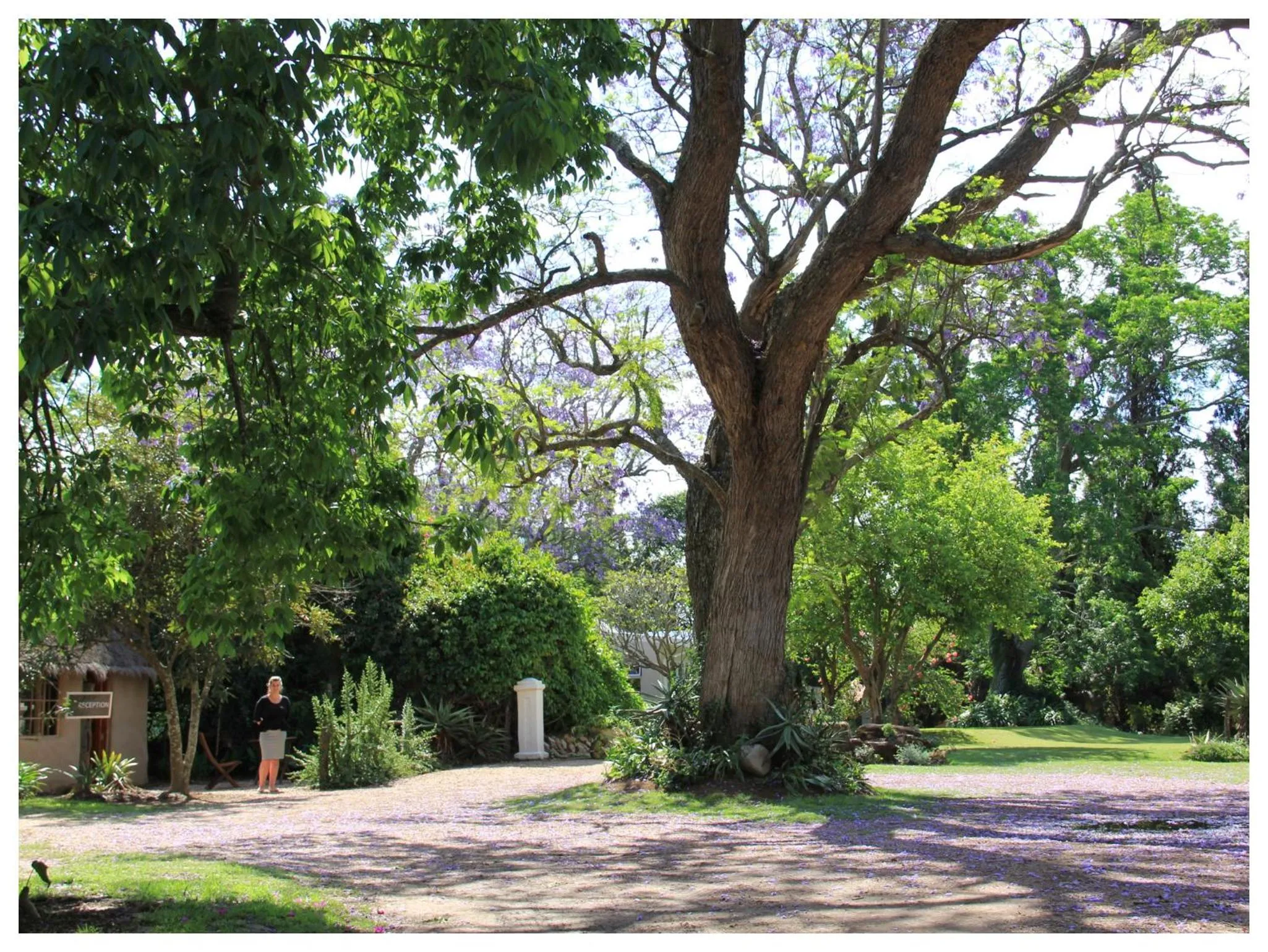 Garden in Chrislin African Lodge